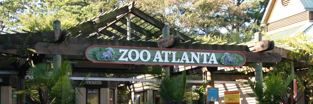 Zoo Atlanta Archives - Page 2 of 8 - GiantPandaGlobal.com