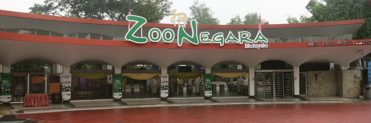 Image result for zoo negara