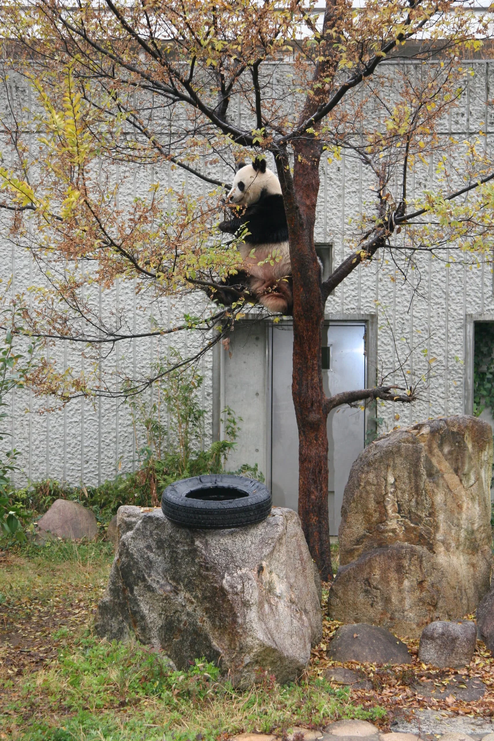 Kobe Oji Zoo