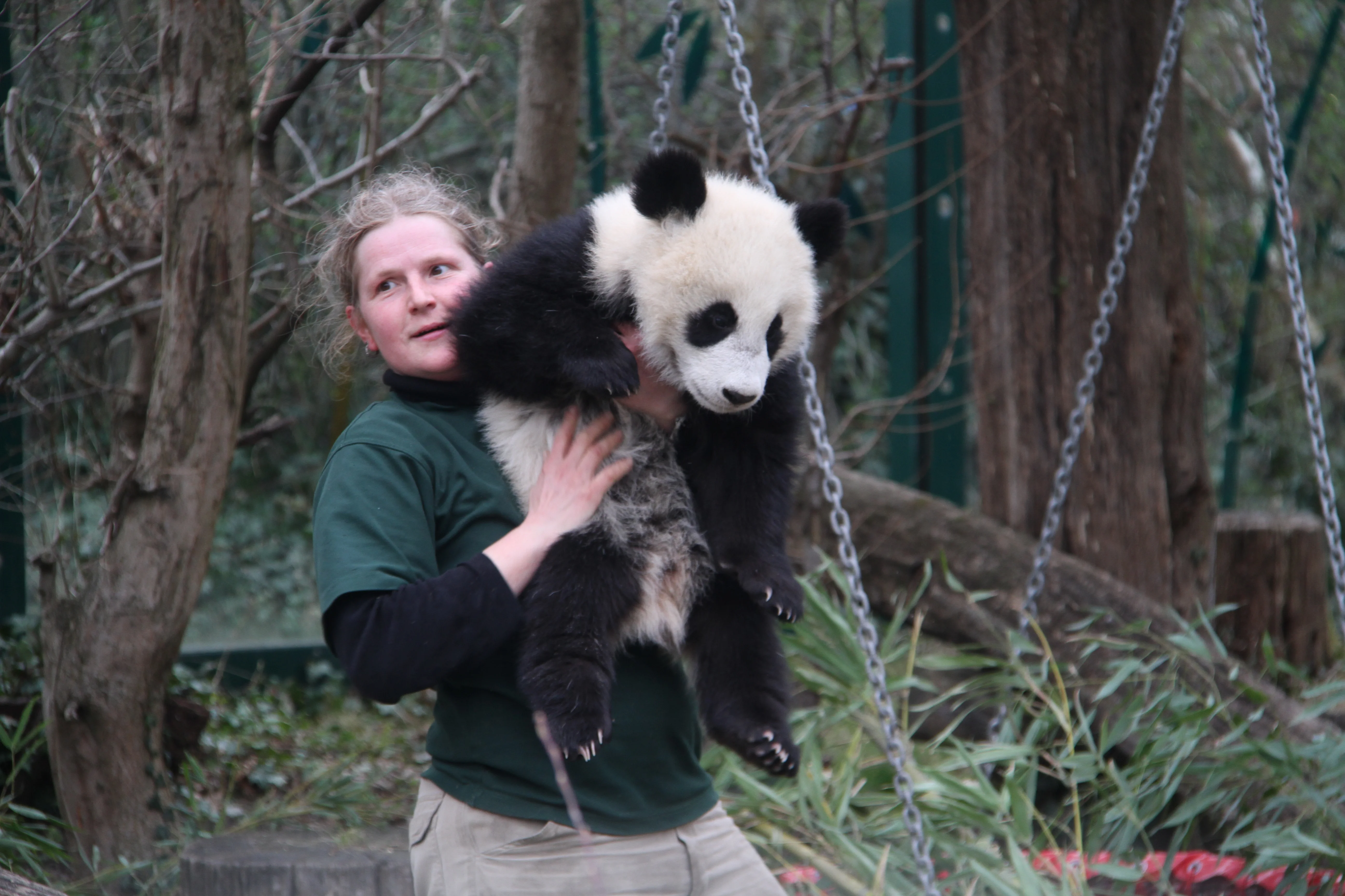 Tiergarten Schönbrunn
