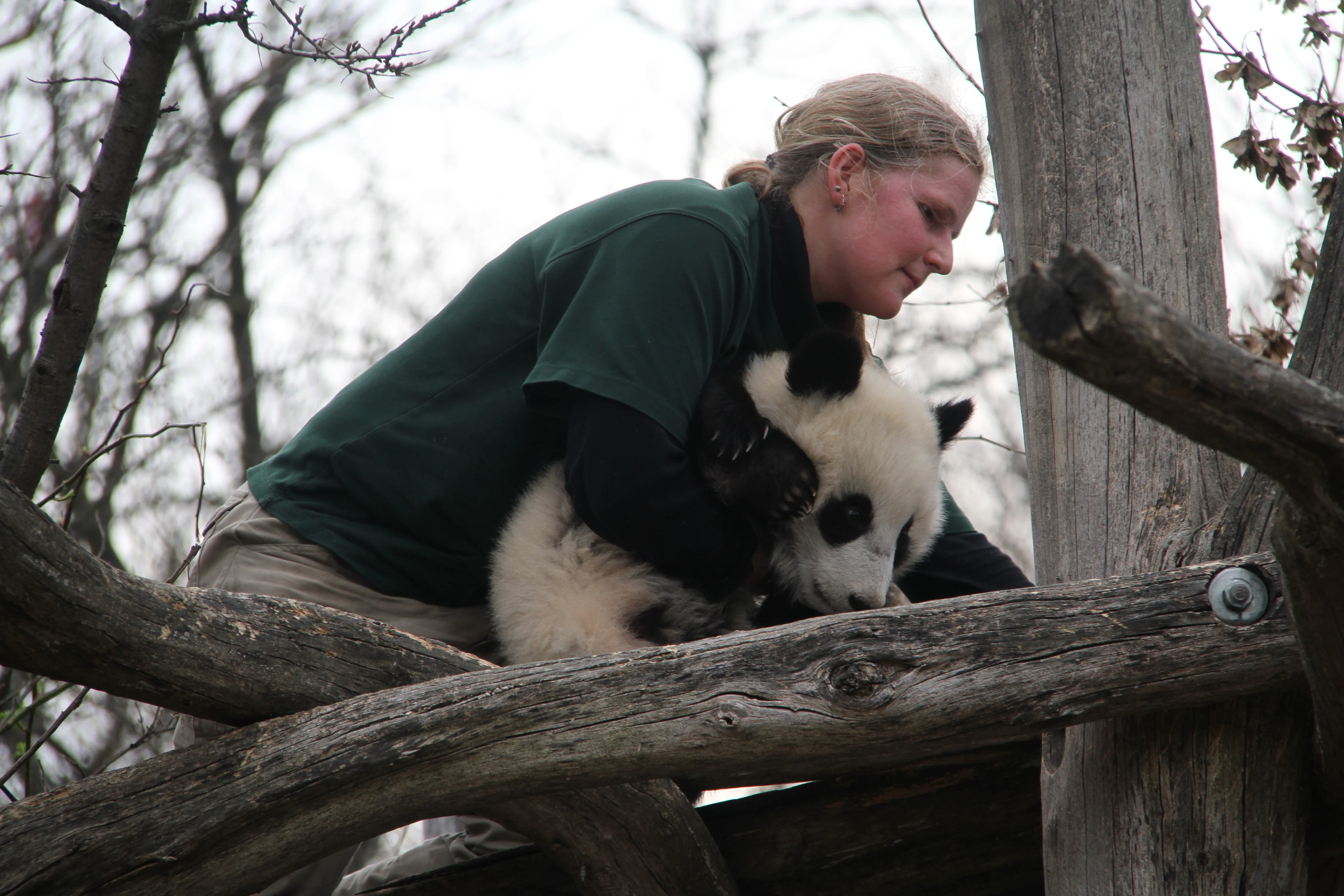 Tiergarten Schönbrunn
