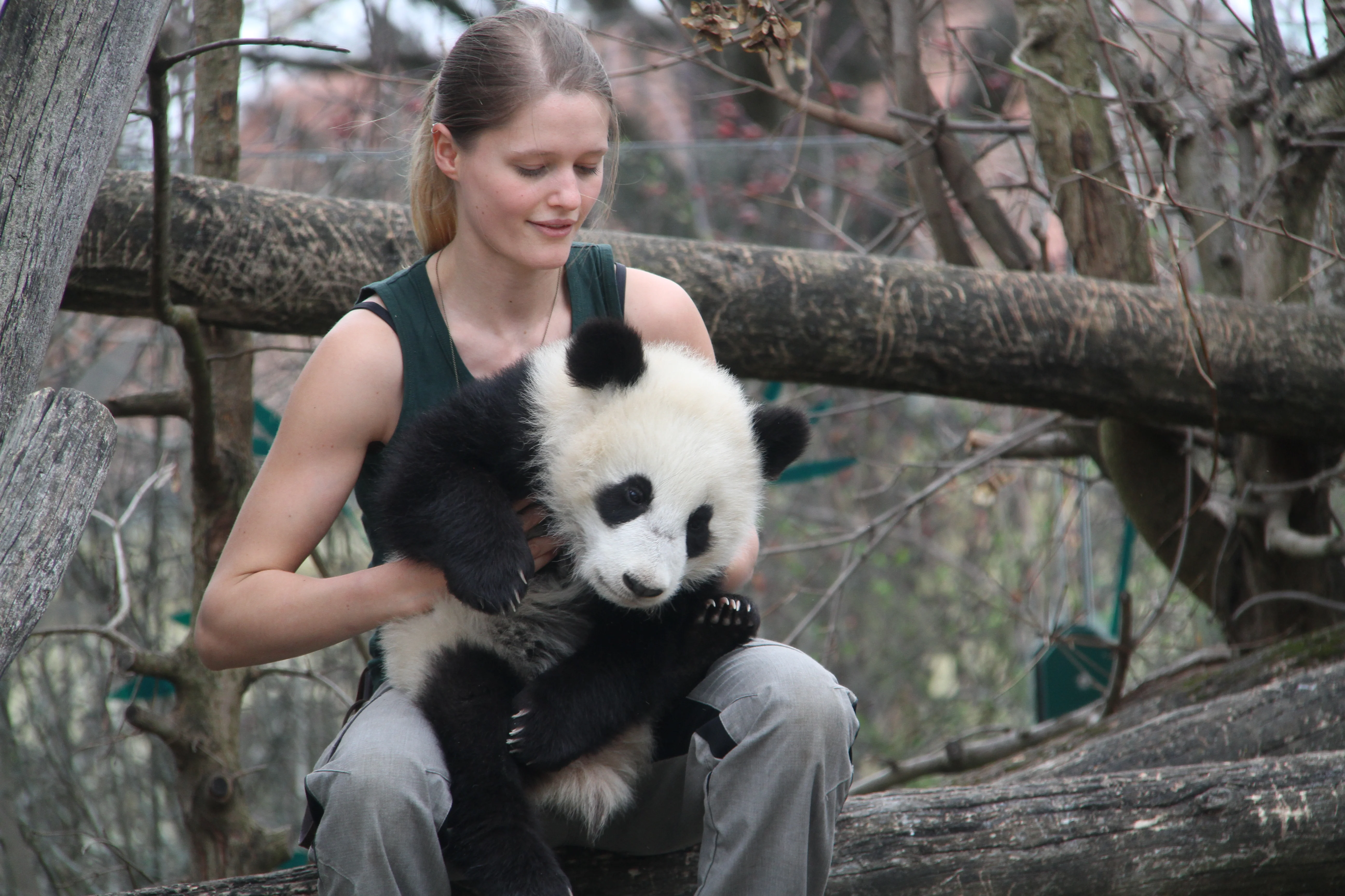 Tiergarten Schönbrunn