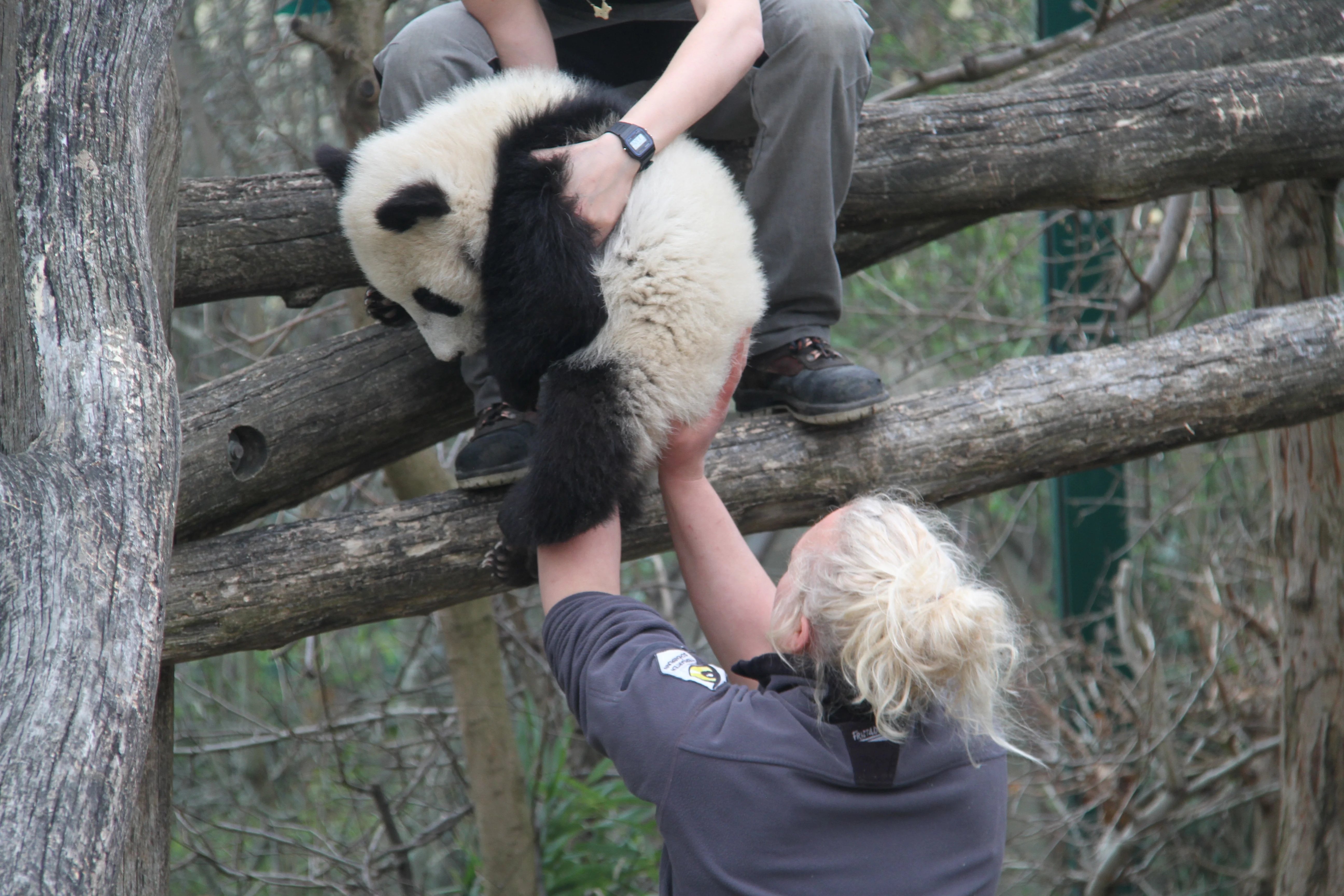 Tiergarten Schönbrunn