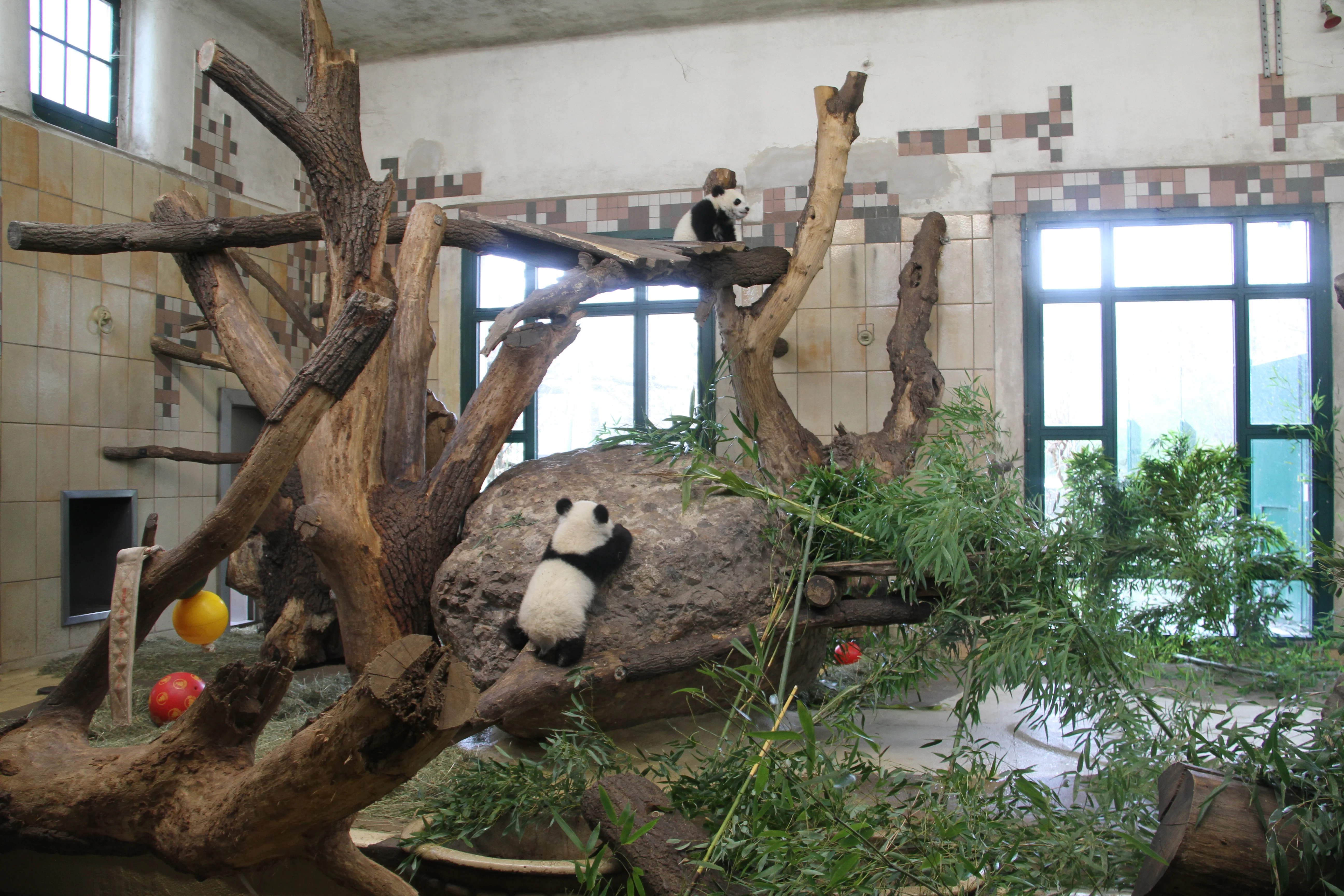 Tiergarten Schönbrunn