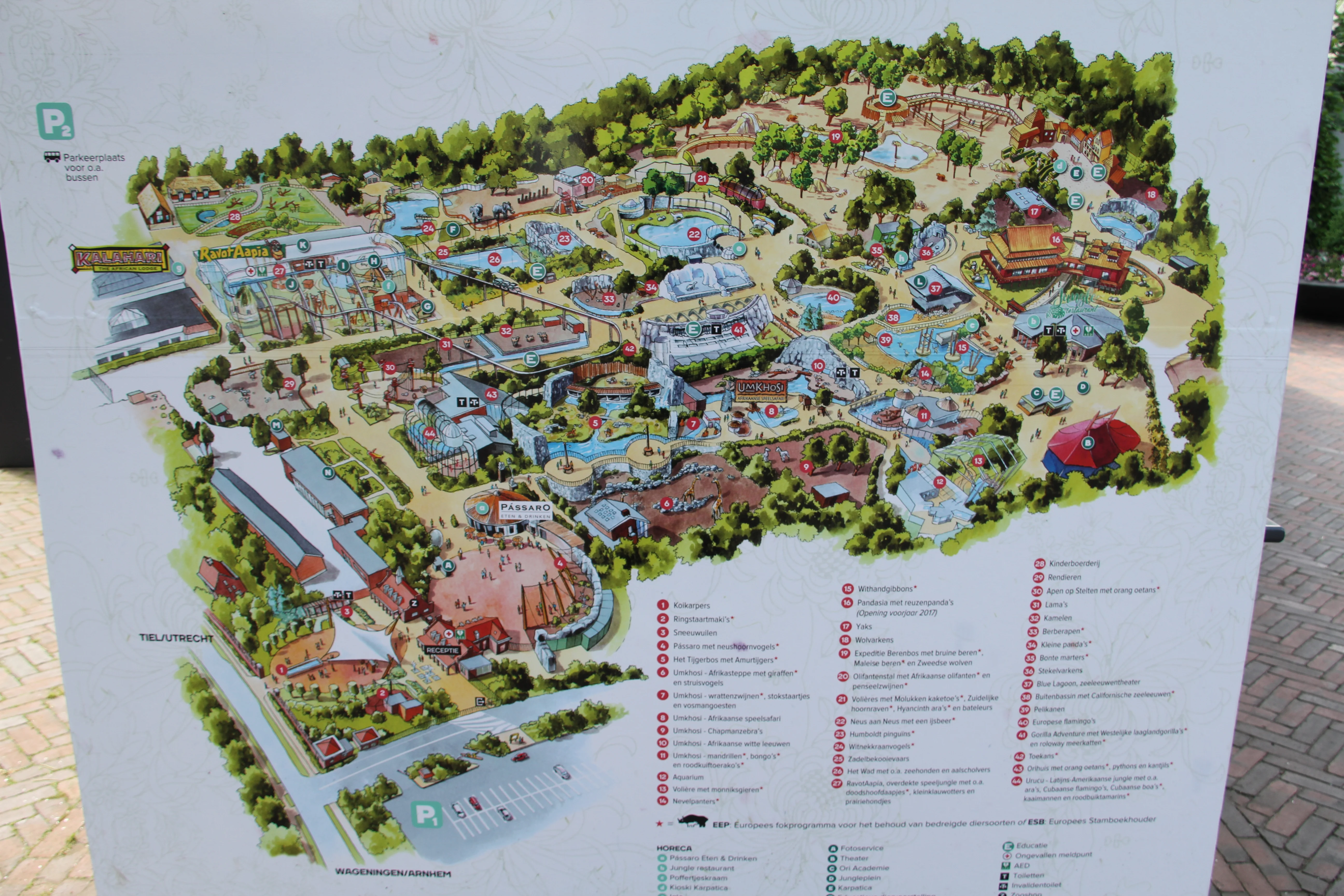 Ouwehands Dierenpark Rhenen