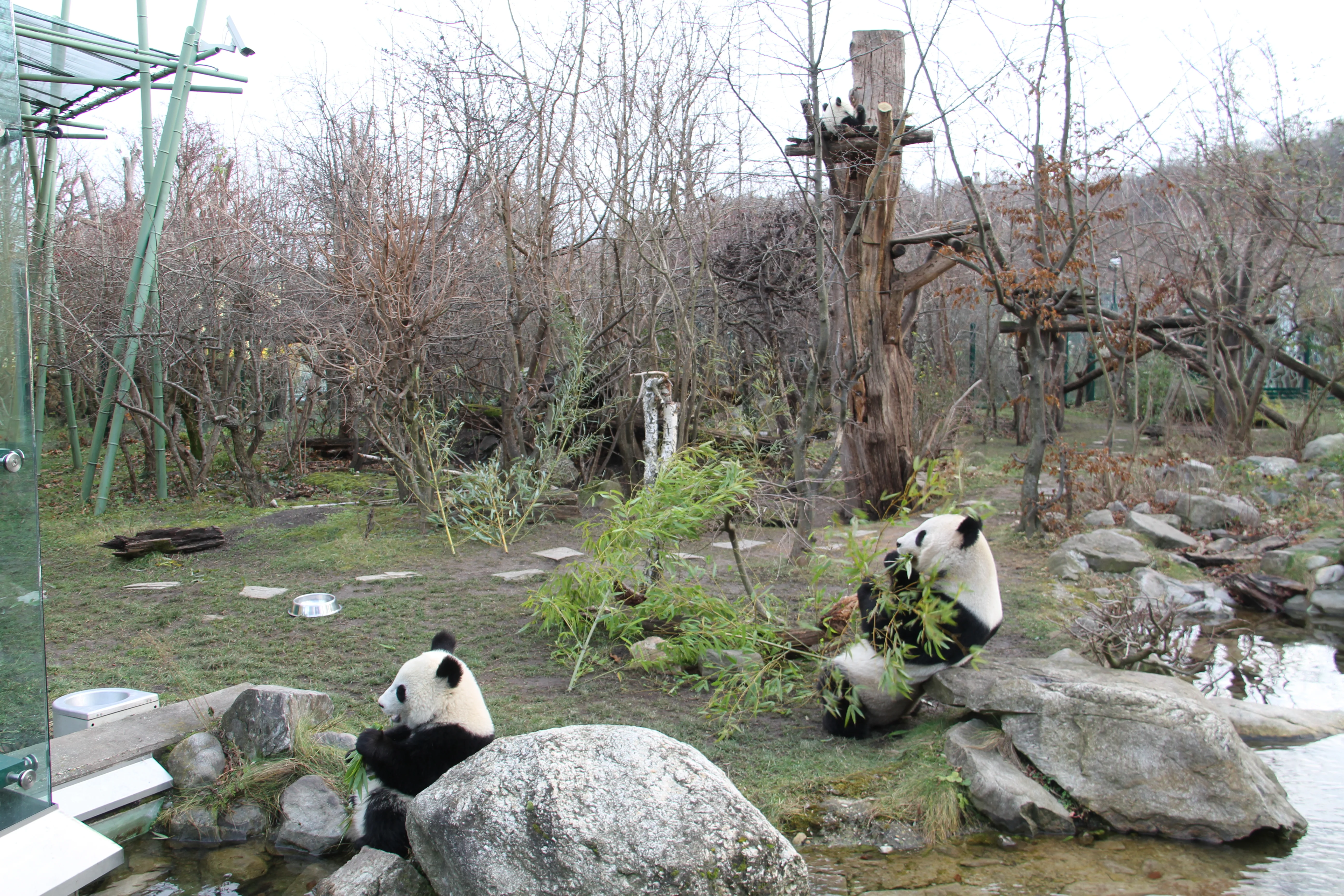 Tiergarten Schönbrunn