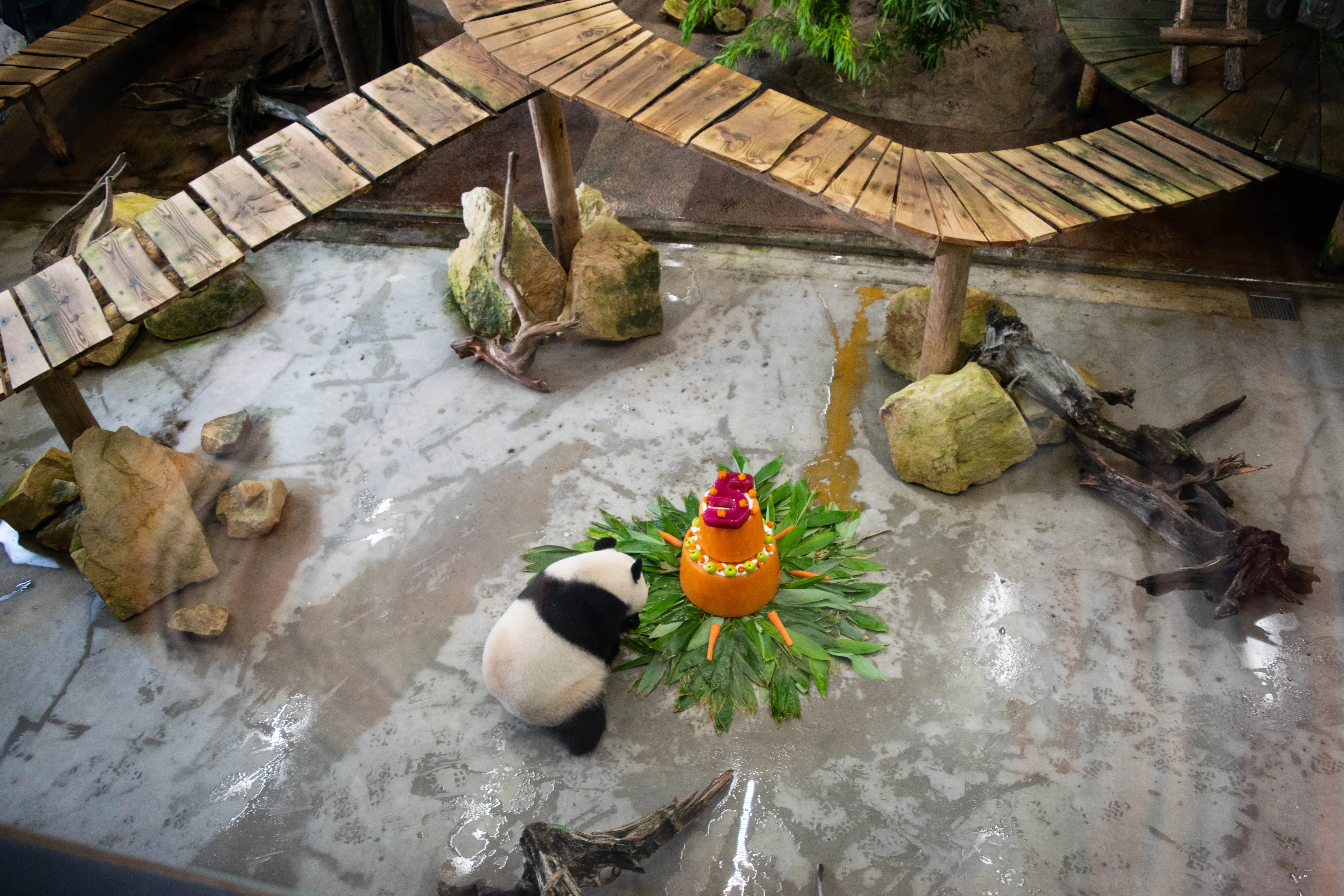 Ouwehands Dierenpark Rhenen