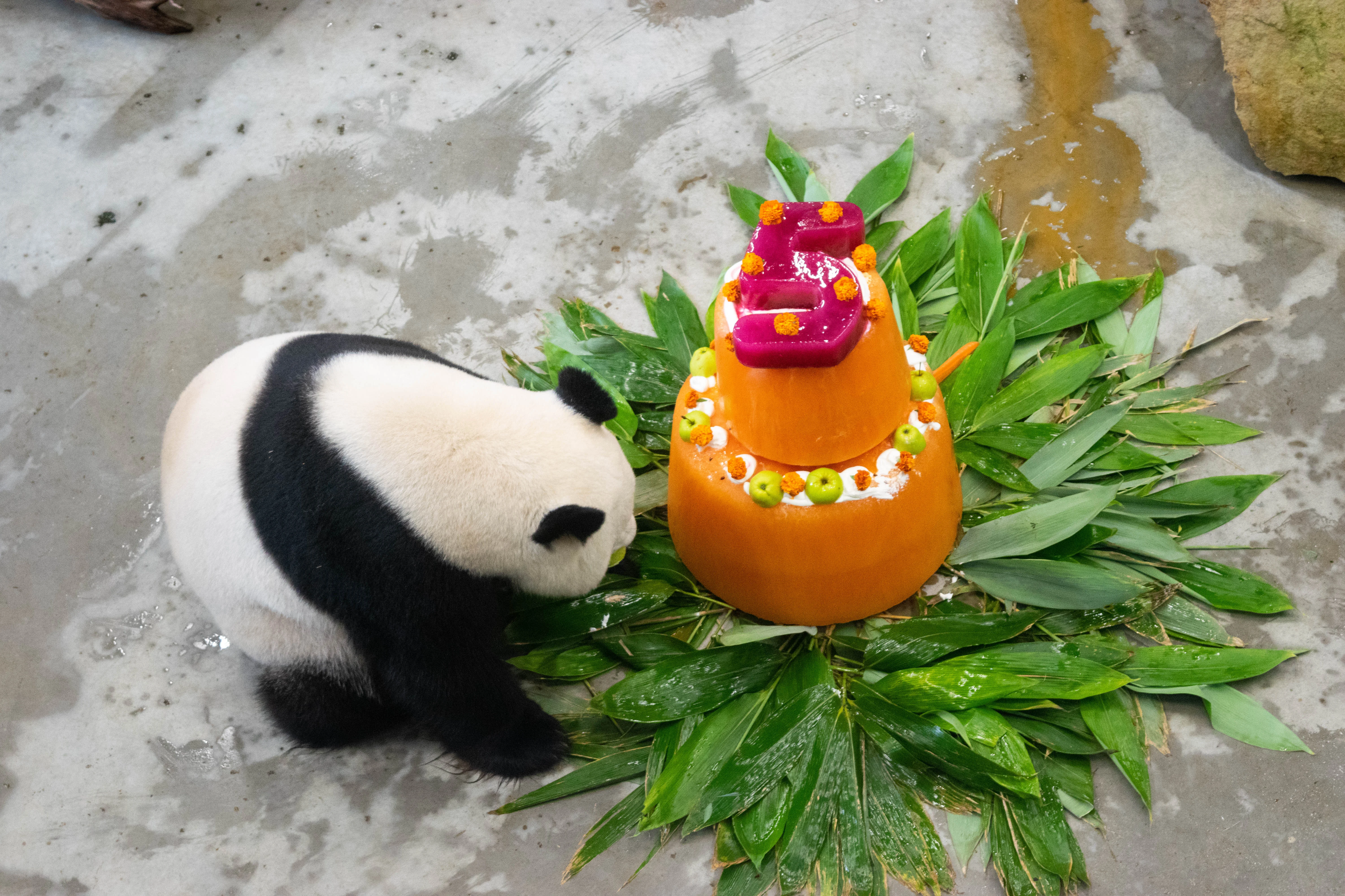 Ouwehands Dierenpark Rhenen