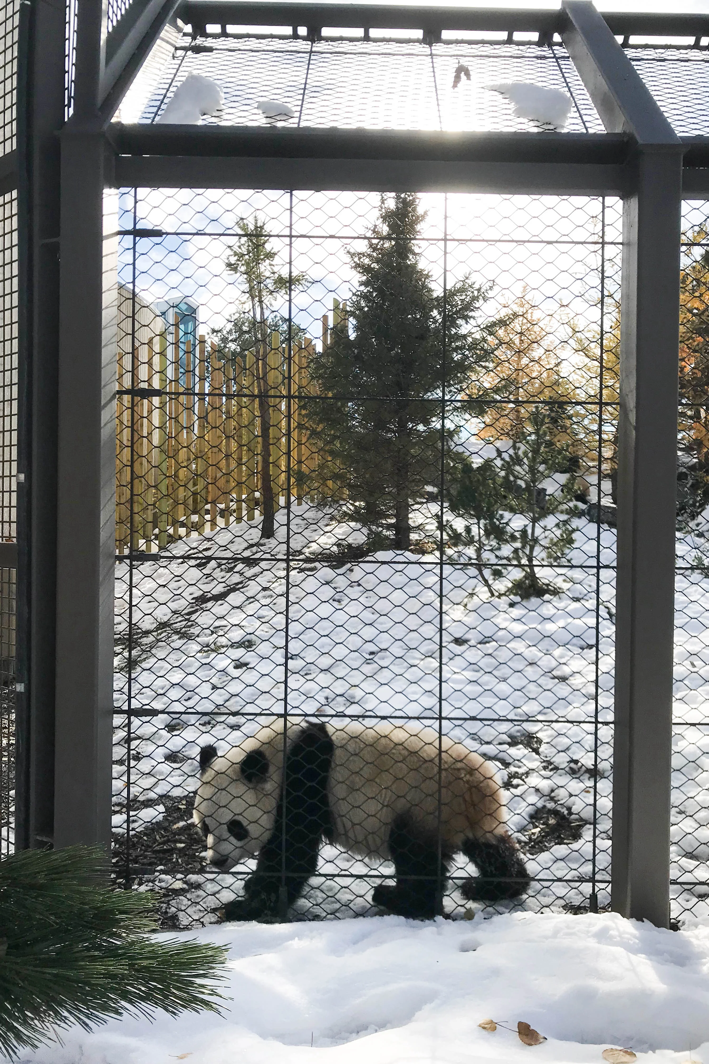 Calgary Zoo
