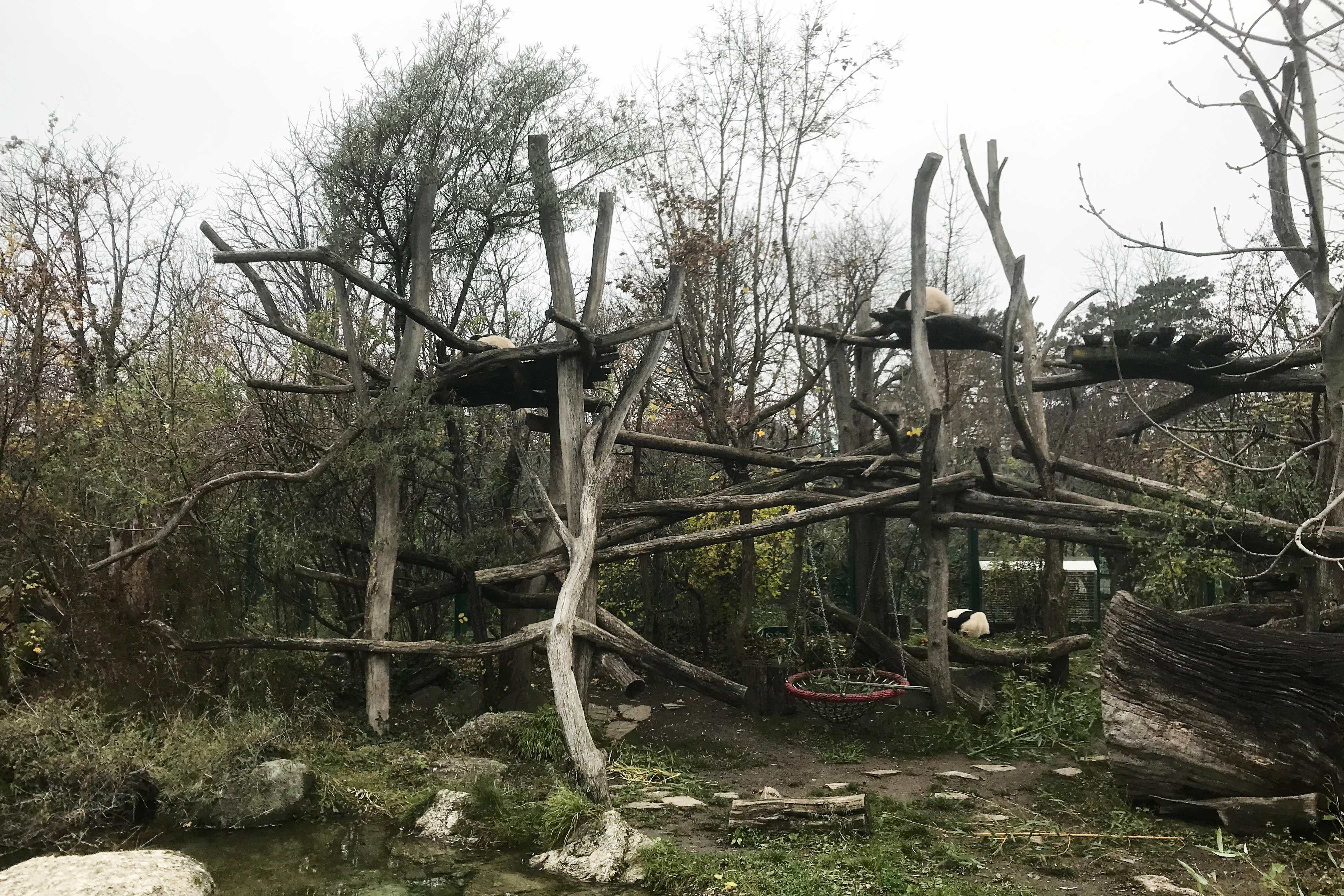 Tiergarten Schönbrunn