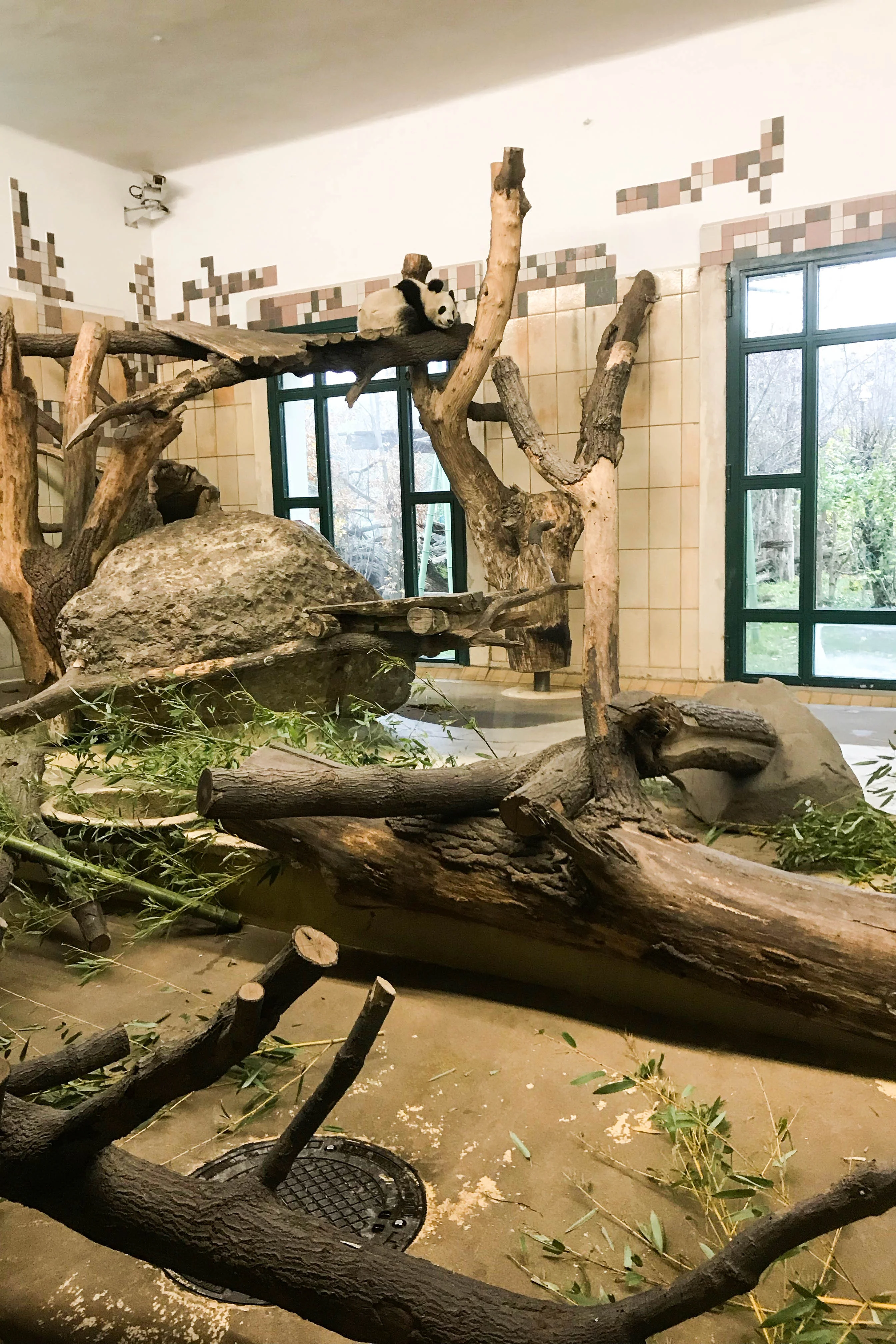 Tiergarten Schönbrunn