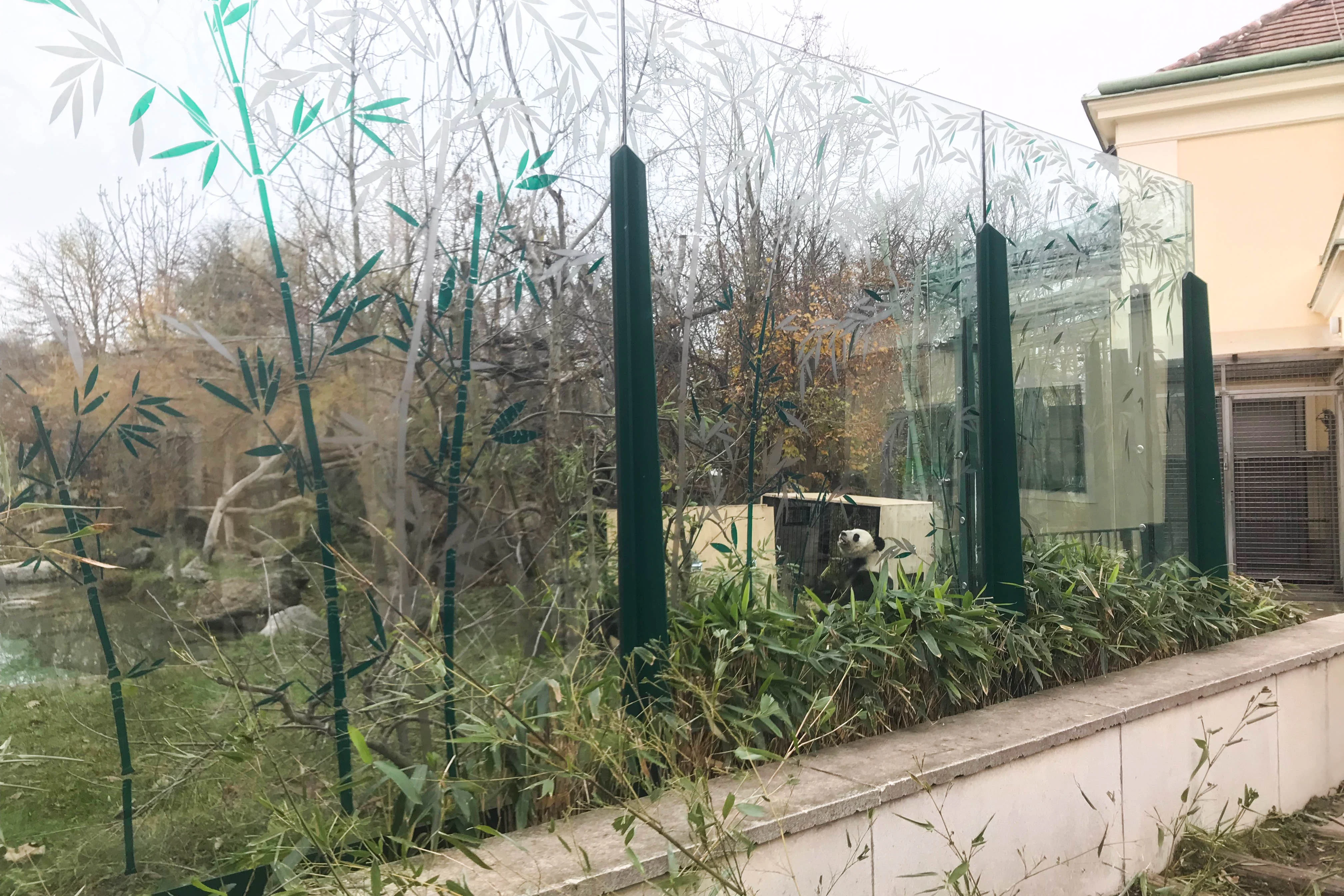 Tiergarten Schönbrunn