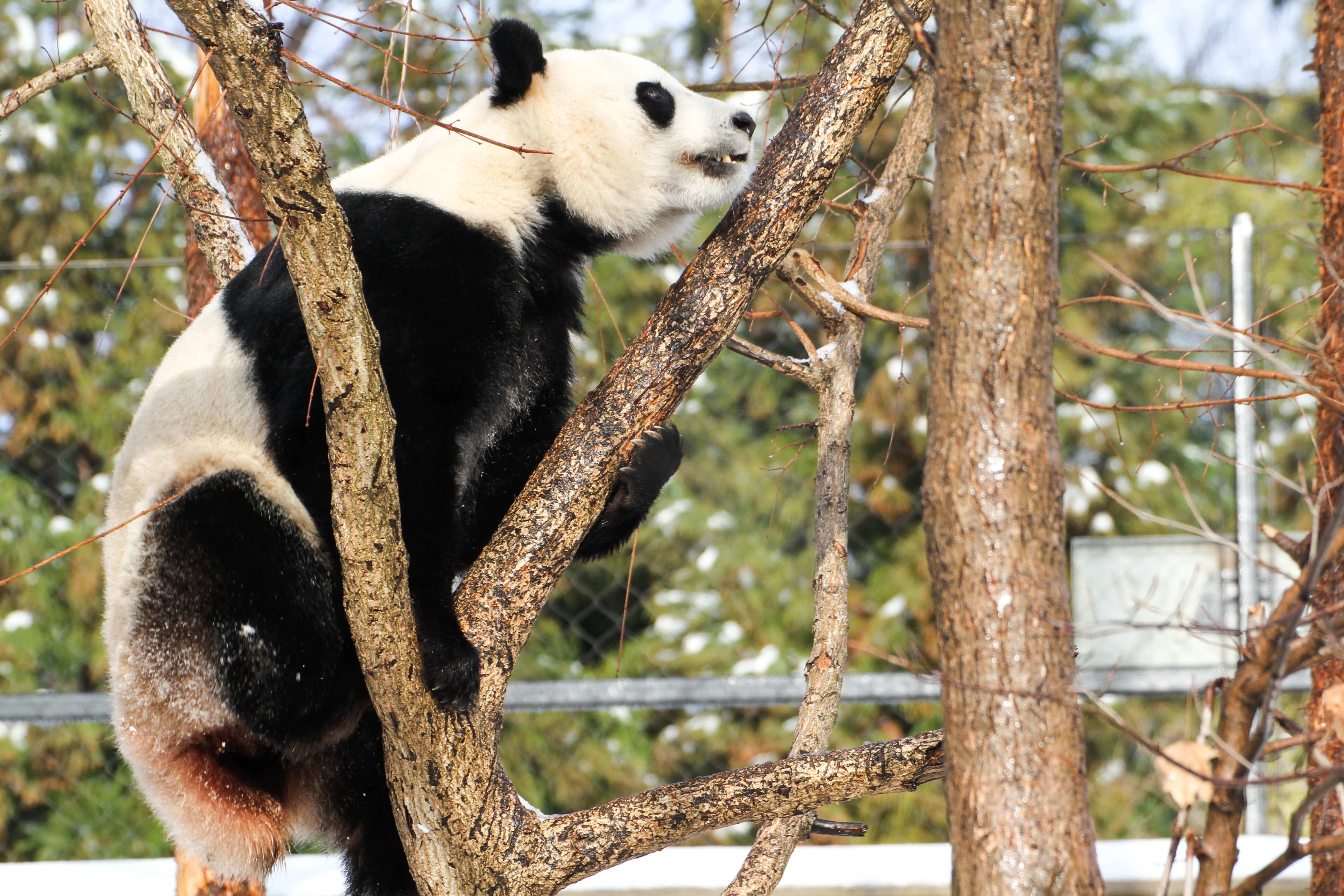 Smithsonian's National Zoo