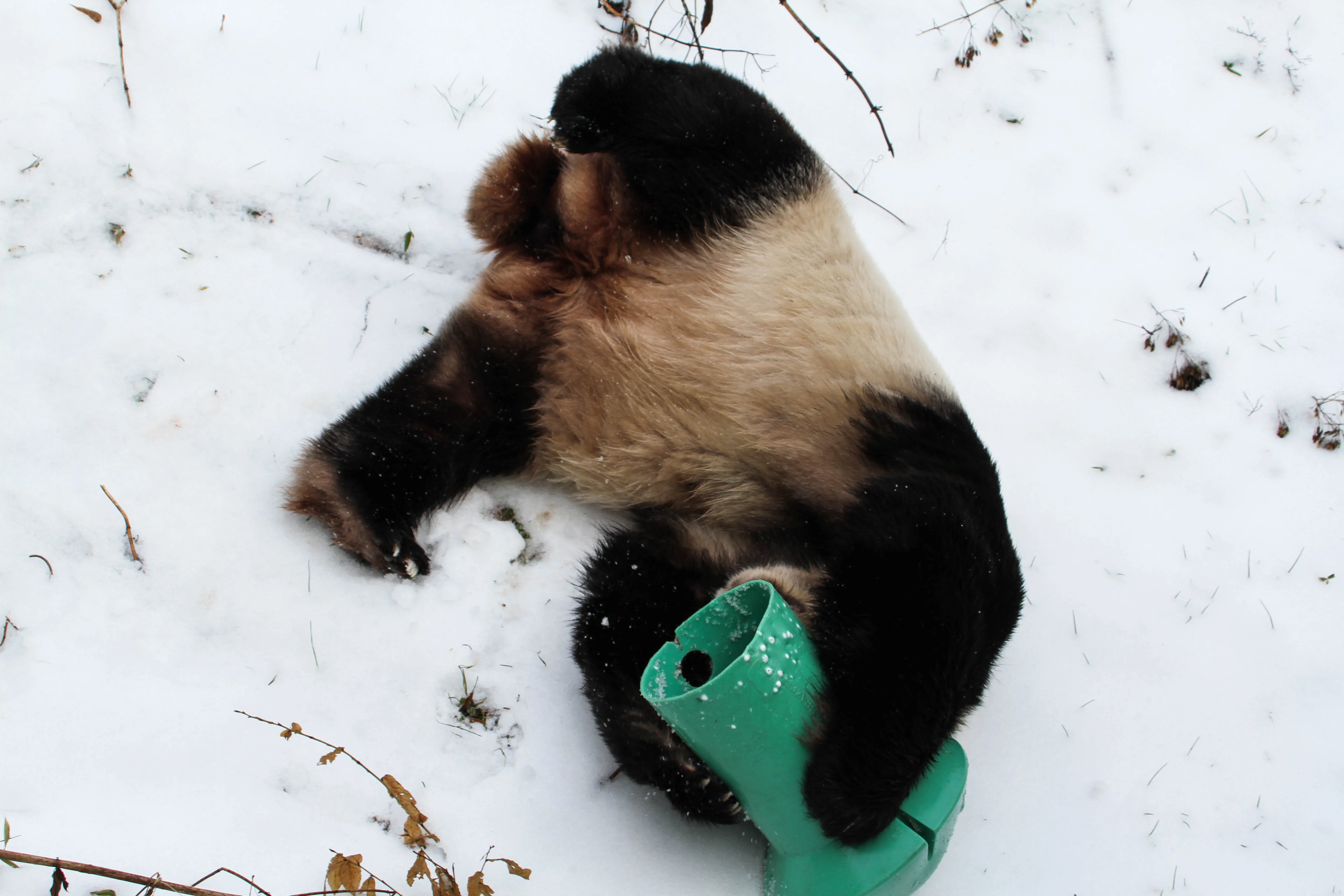 Smithsonian's National Zoo