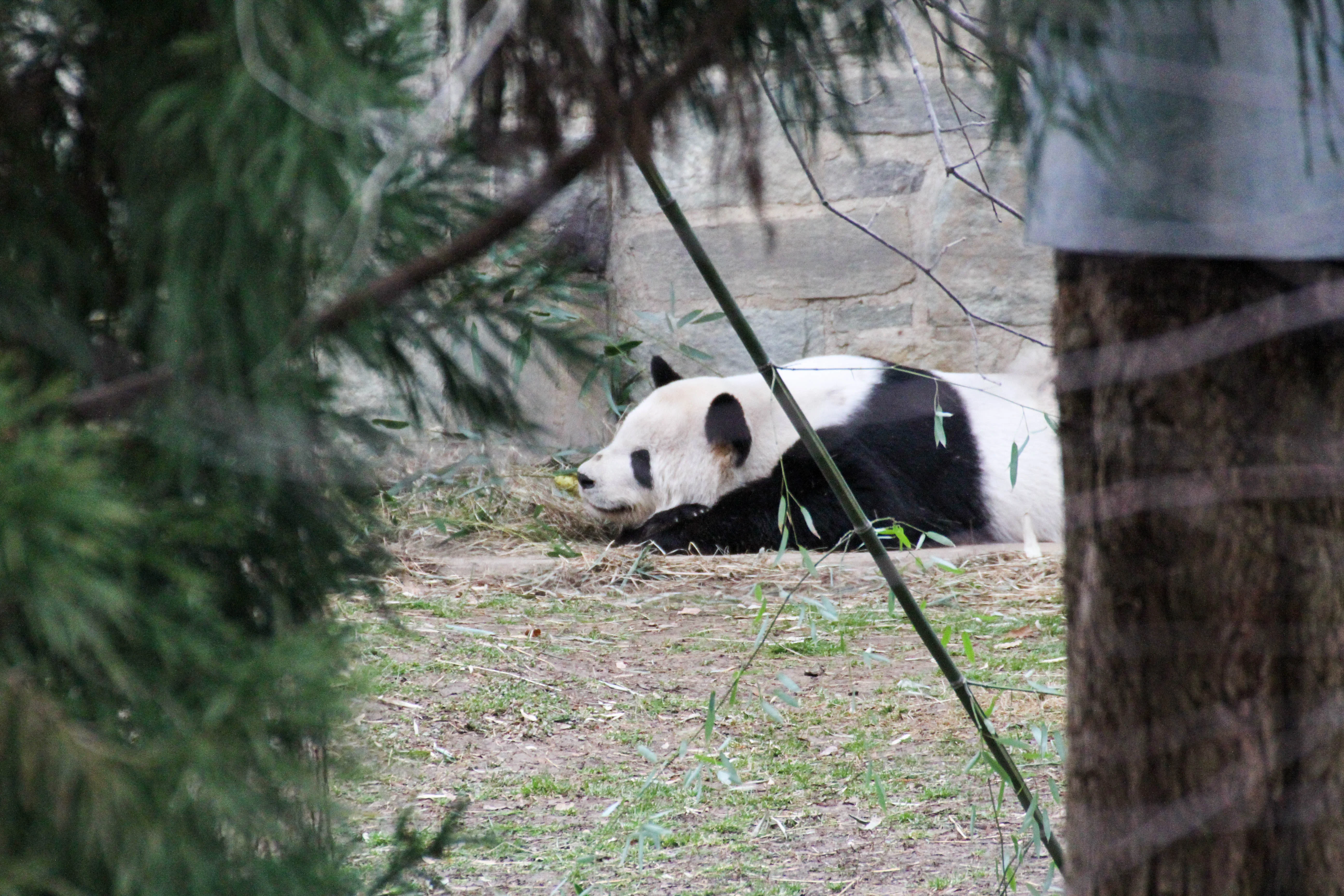 Smithsonian's National Zoo