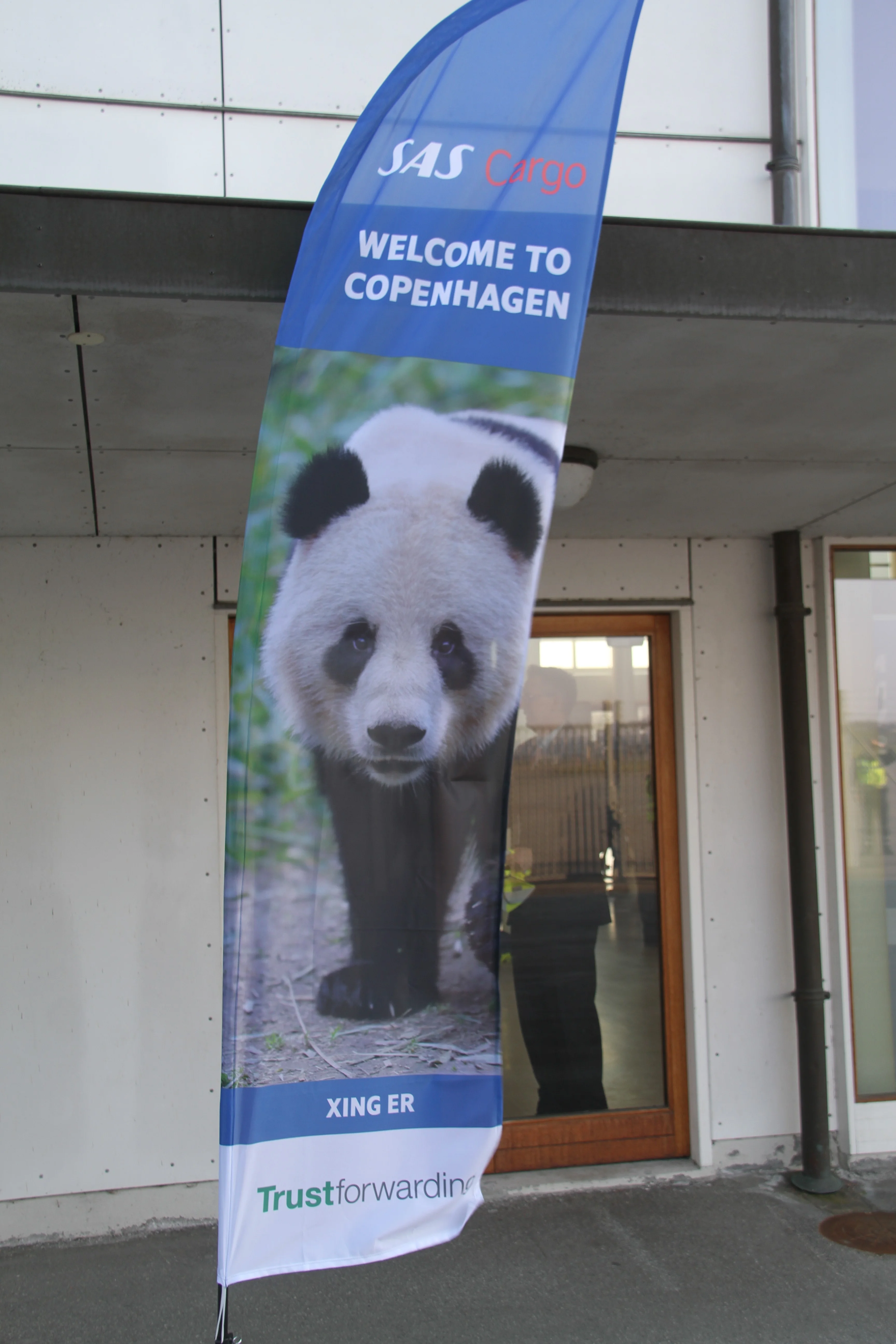 Arrival of Mao Sun &amp; Xing Er in Denmark