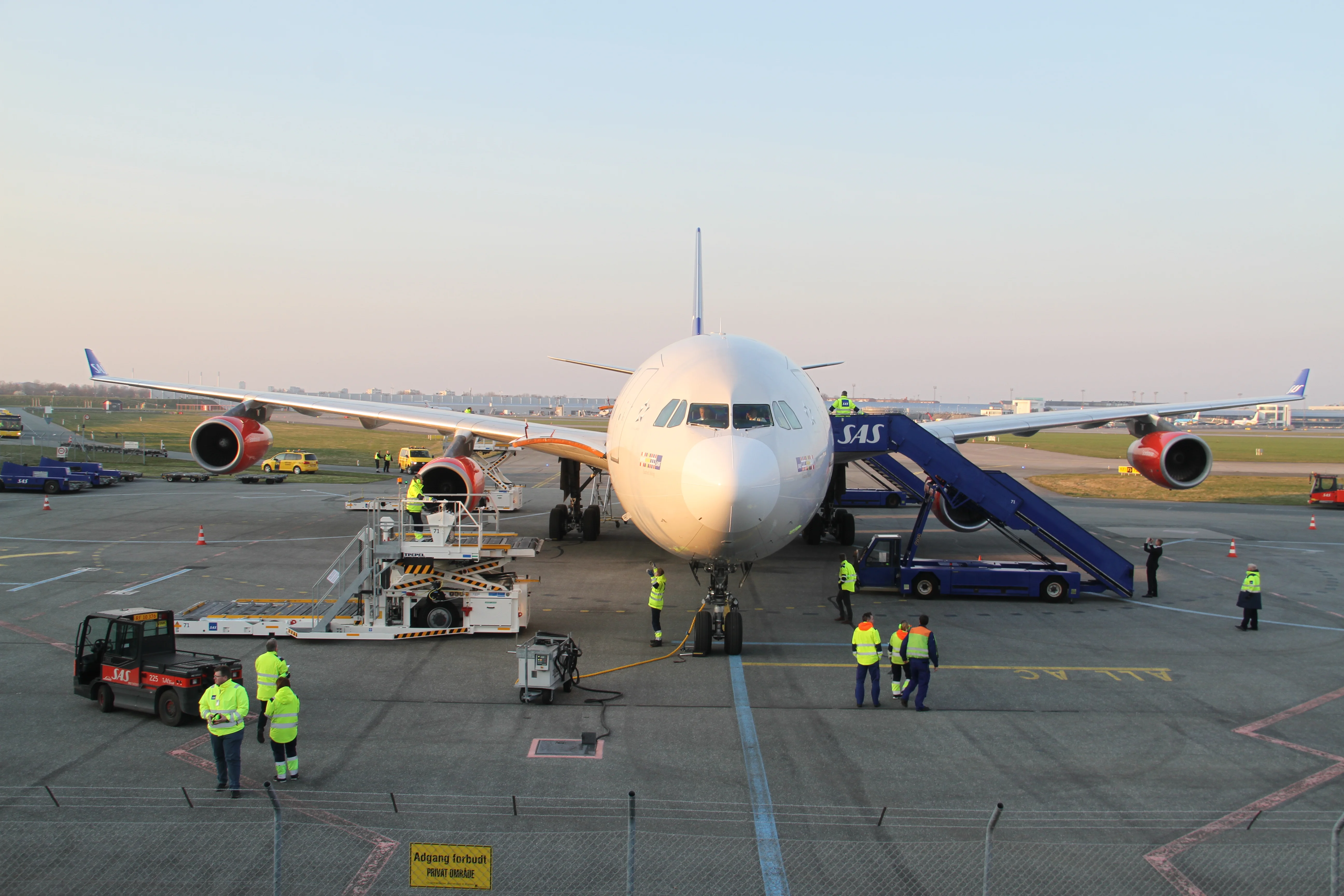 Arrival of Mao Sun &amp; Xing Er in Denmark