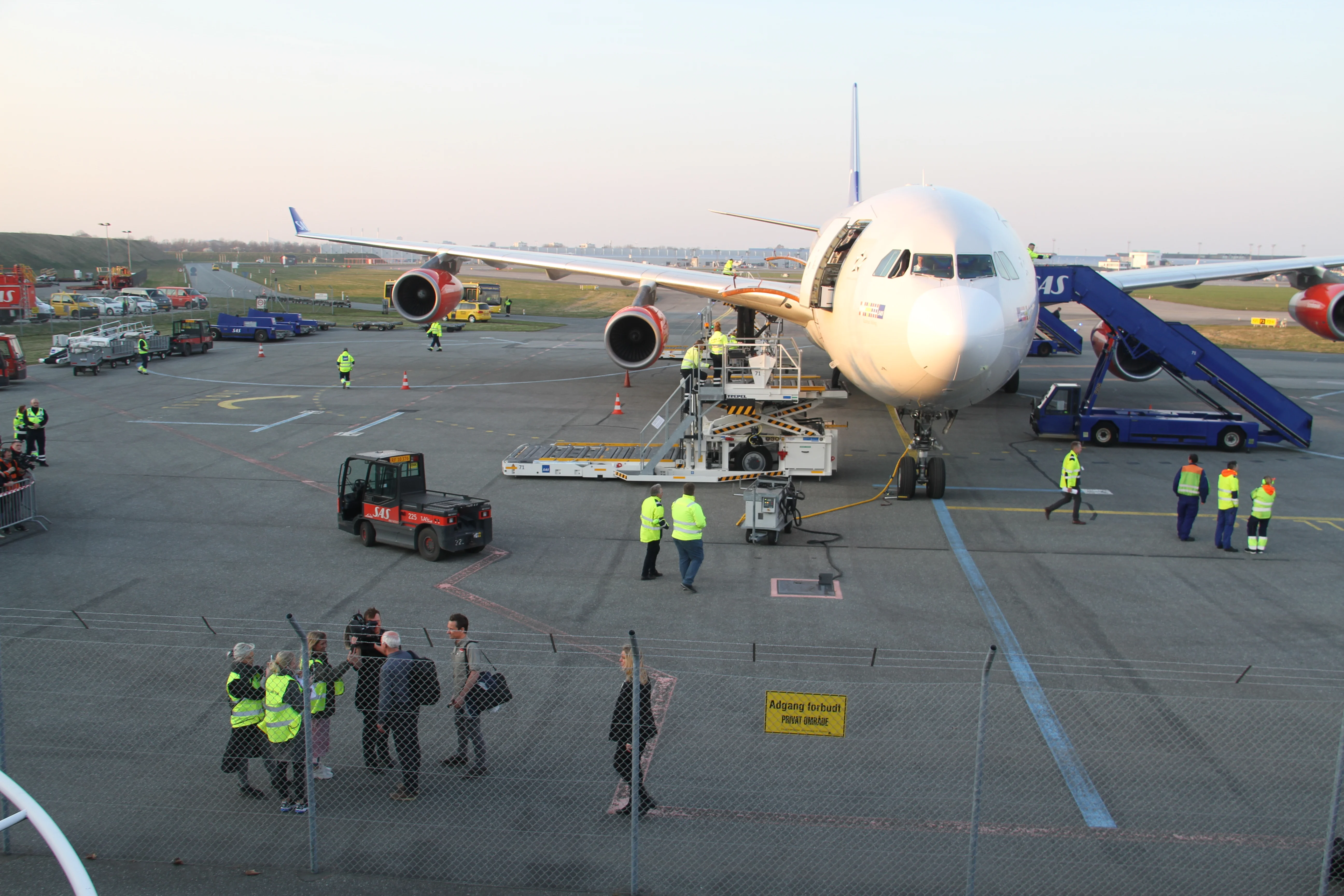 Arrival of Mao Sun &amp; Xing Er in Denmark