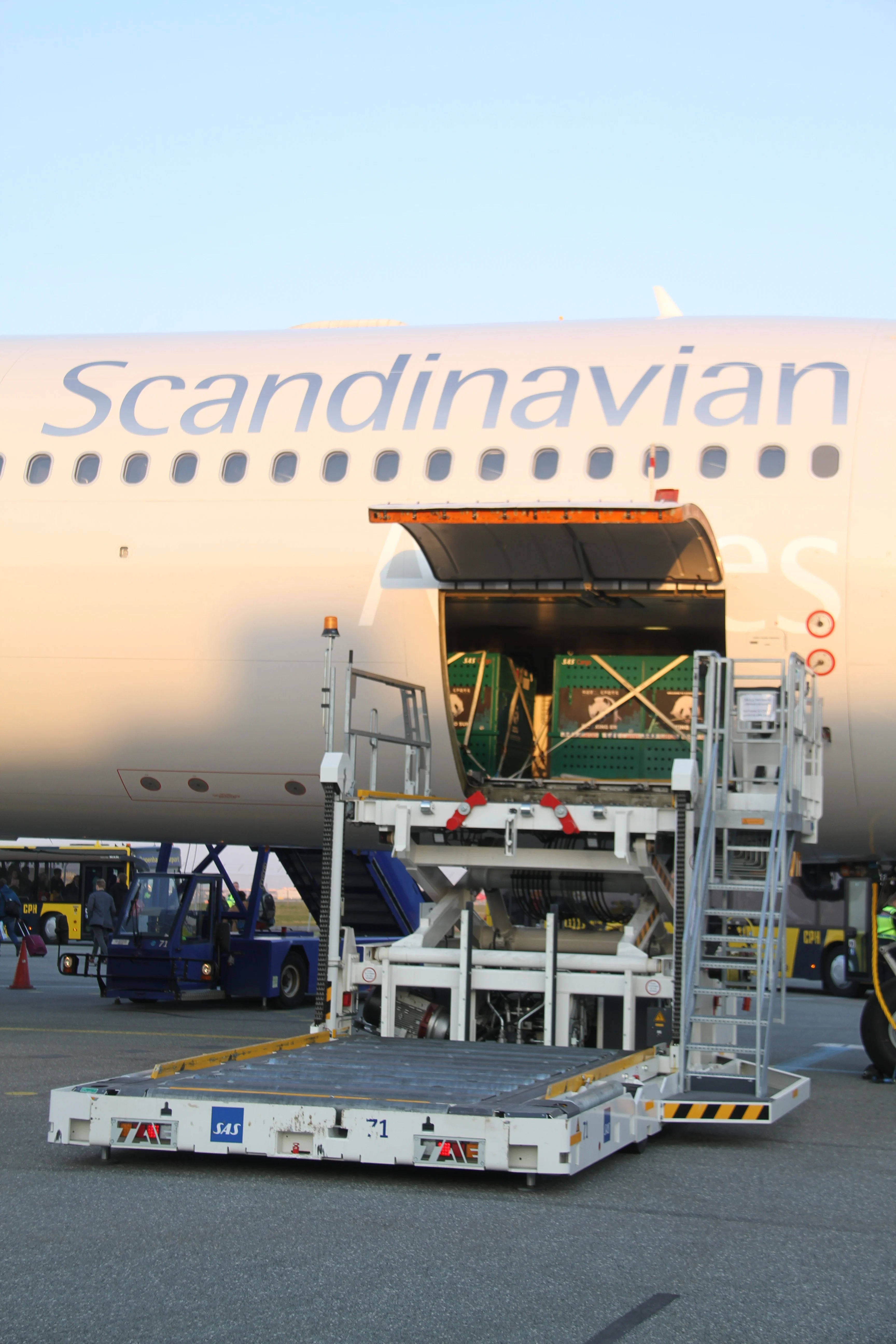 Arrival of Mao Sun &amp; Xing Er in Denmark