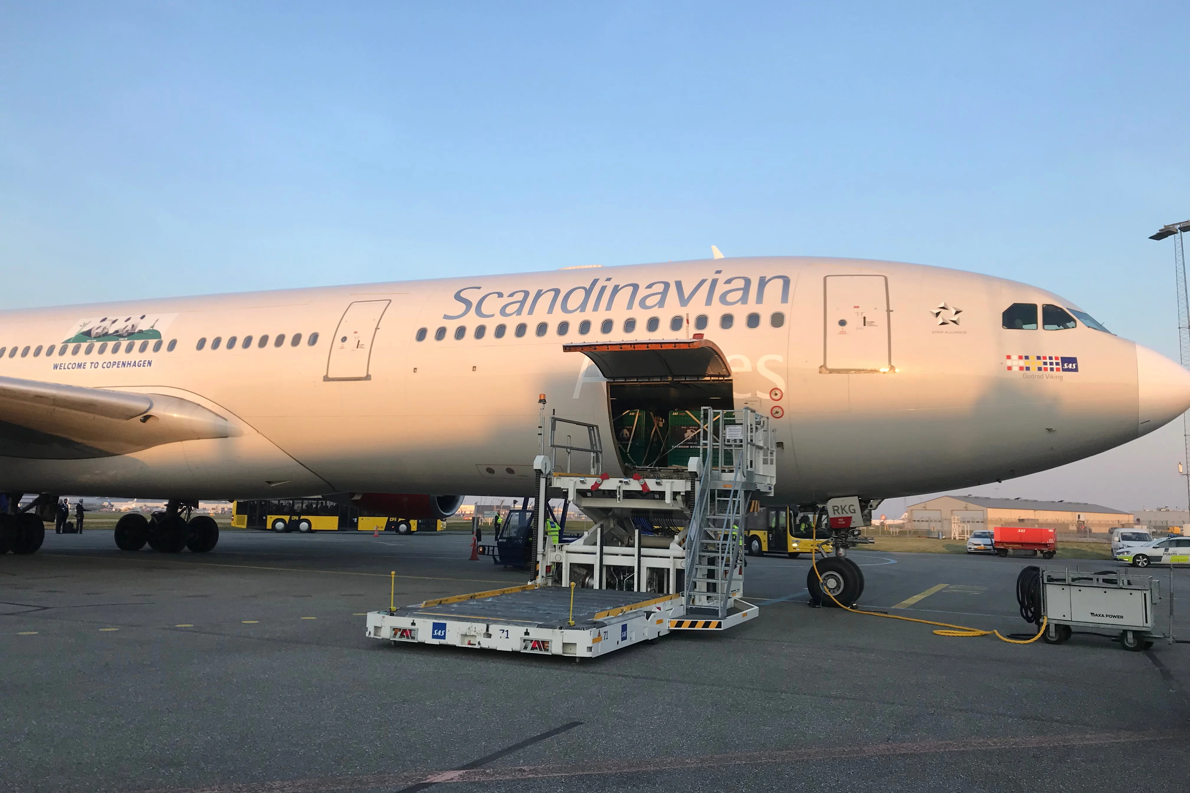 Arrival of Mao Sun &amp; Xing Er in Denmark