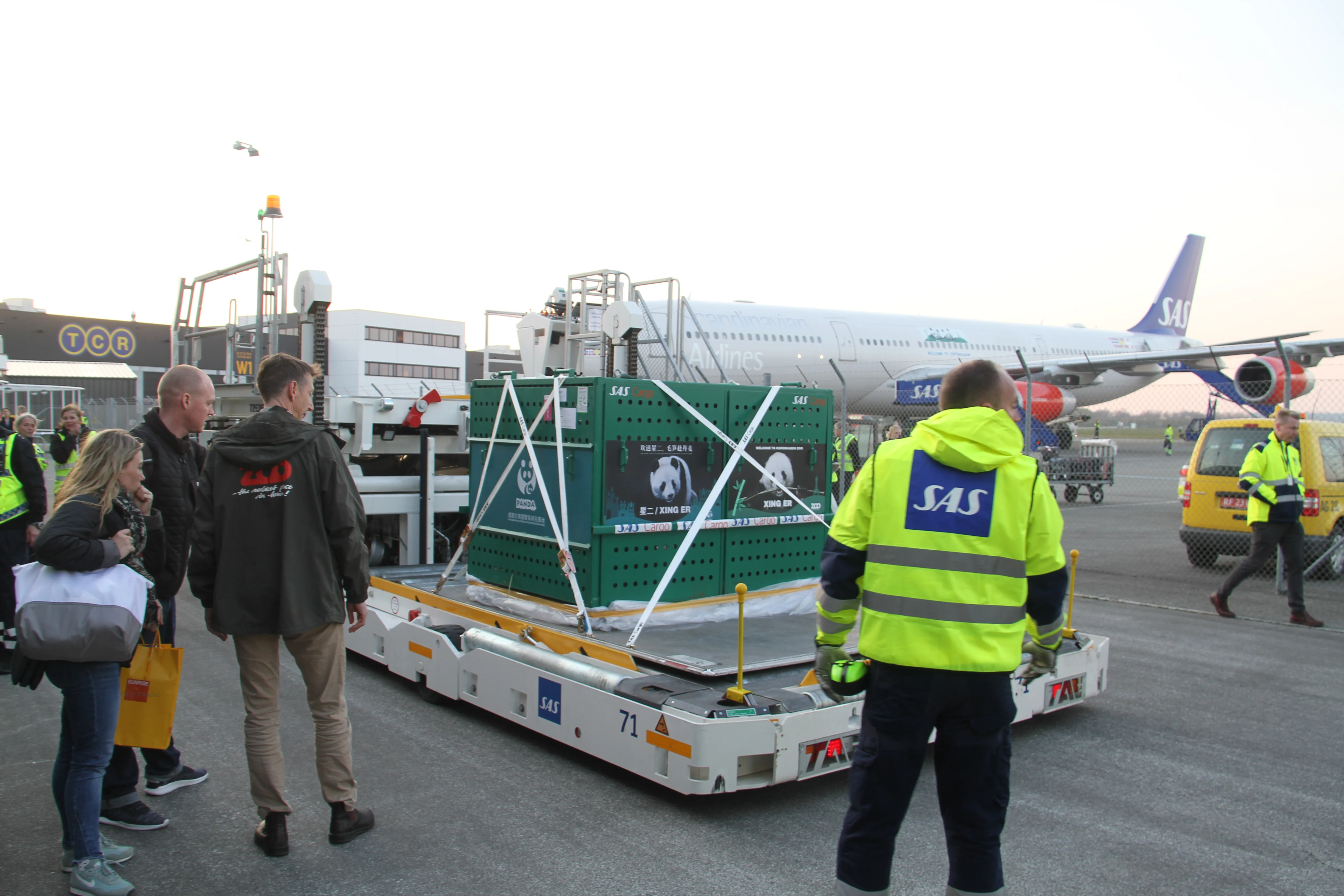 Arrival of Mao Sun &amp; Xing Er in Denmark