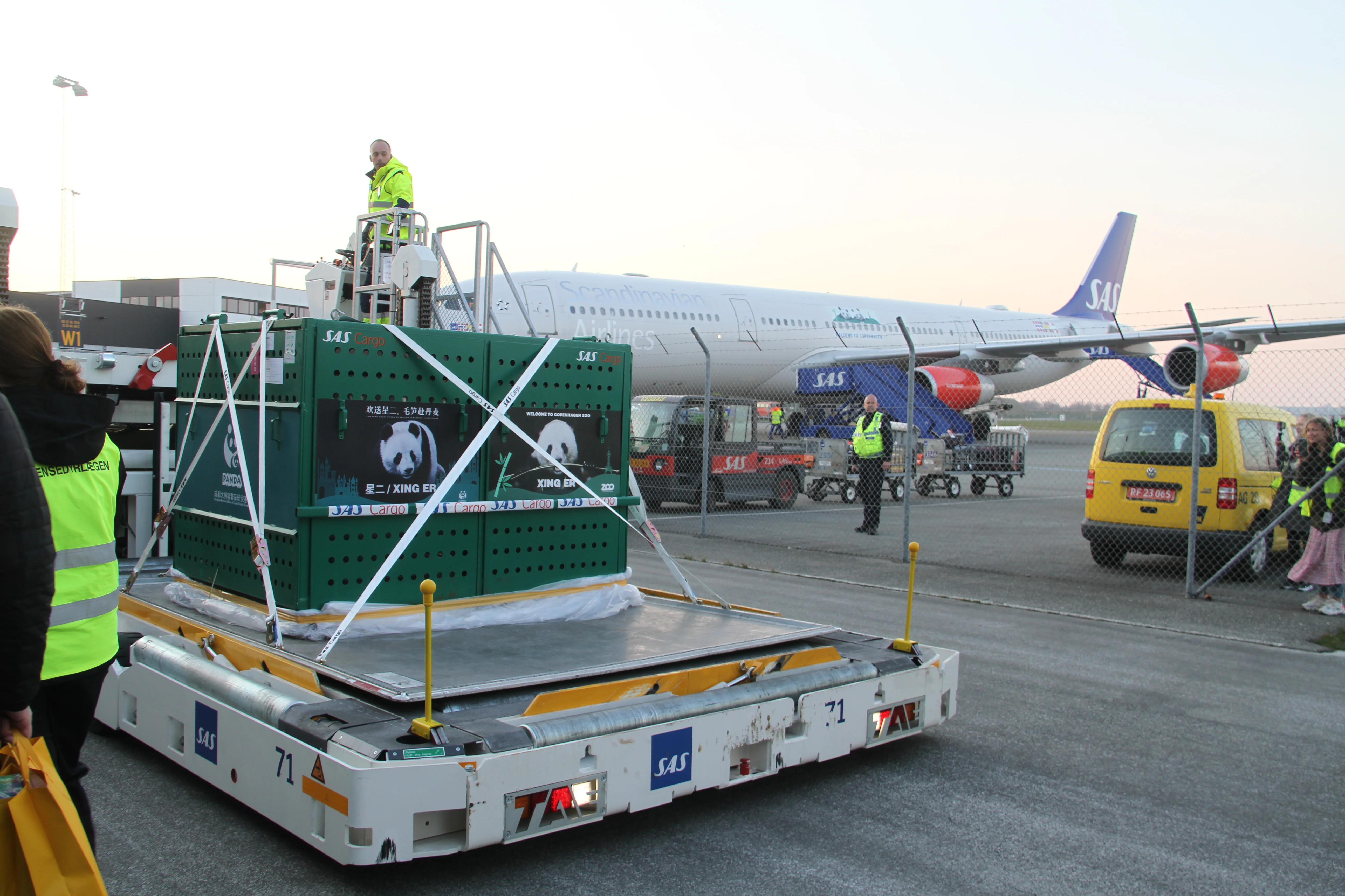 Arrival of Mao Sun &amp; Xing Er in Denmark