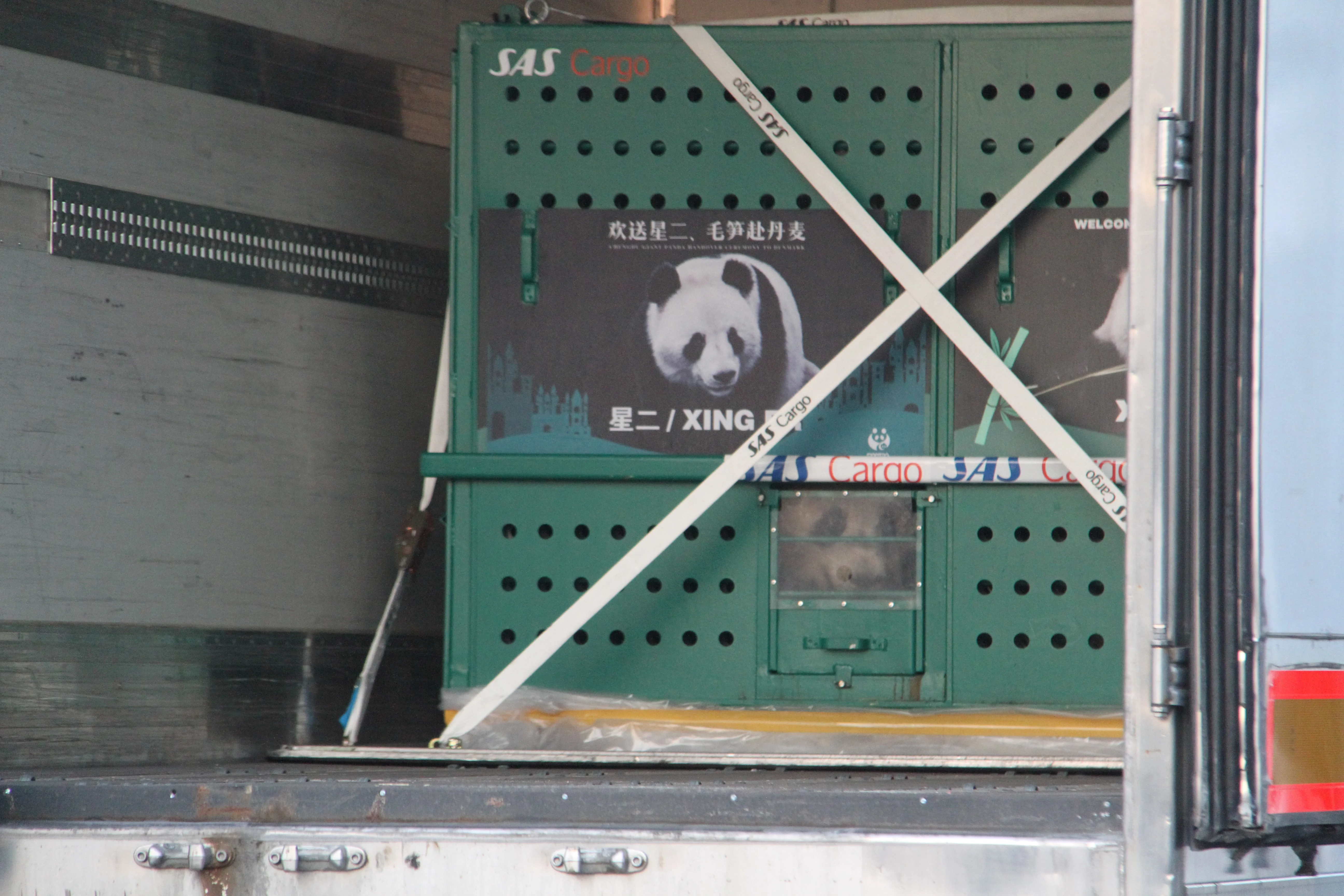 Arrival of Mao Sun &amp; Xing Er in Denmark