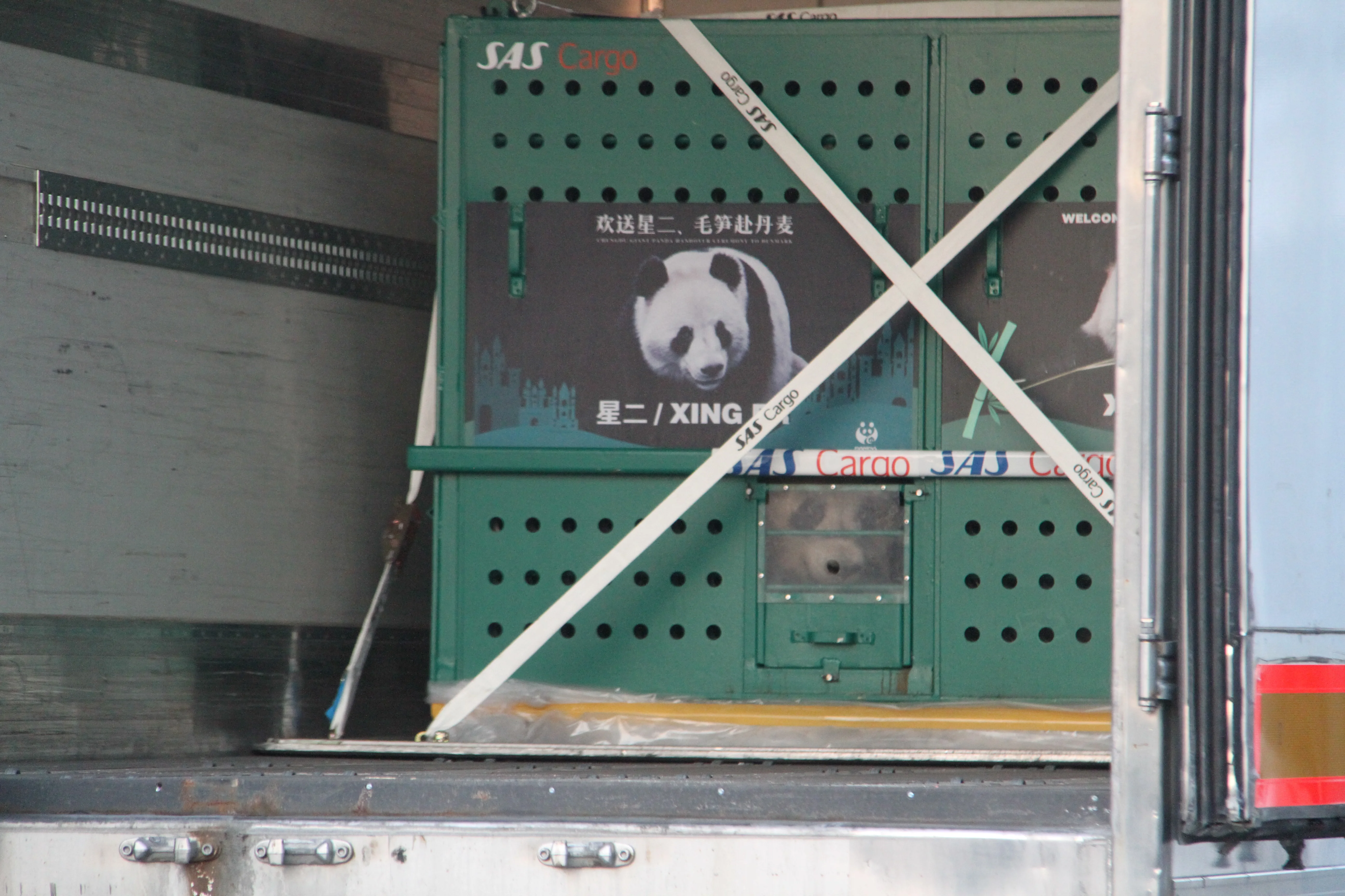 Arrival of Mao Sun &amp; Xing Er in Denmark