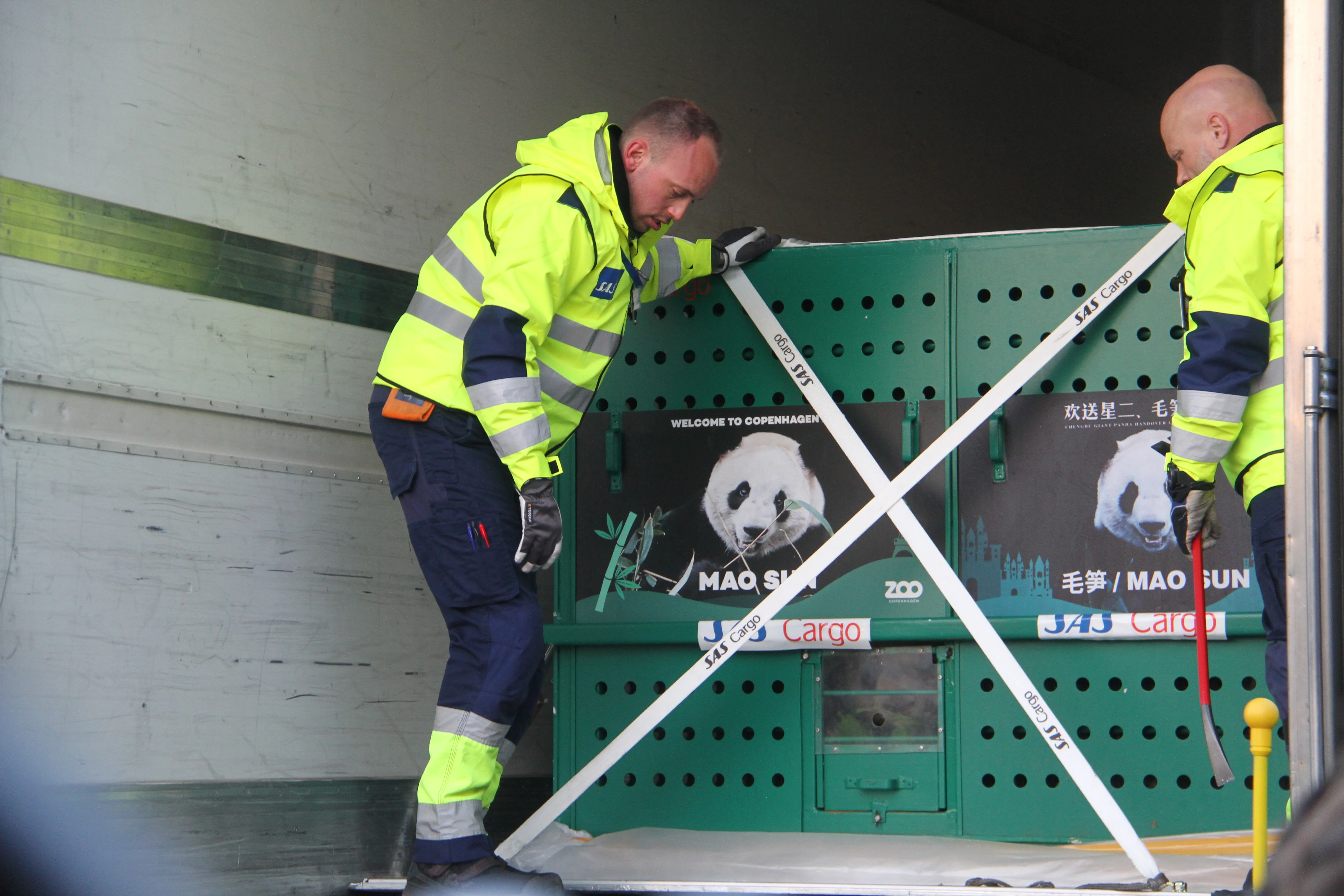 Arrival of Mao Sun &amp; Xing Er in Denmark