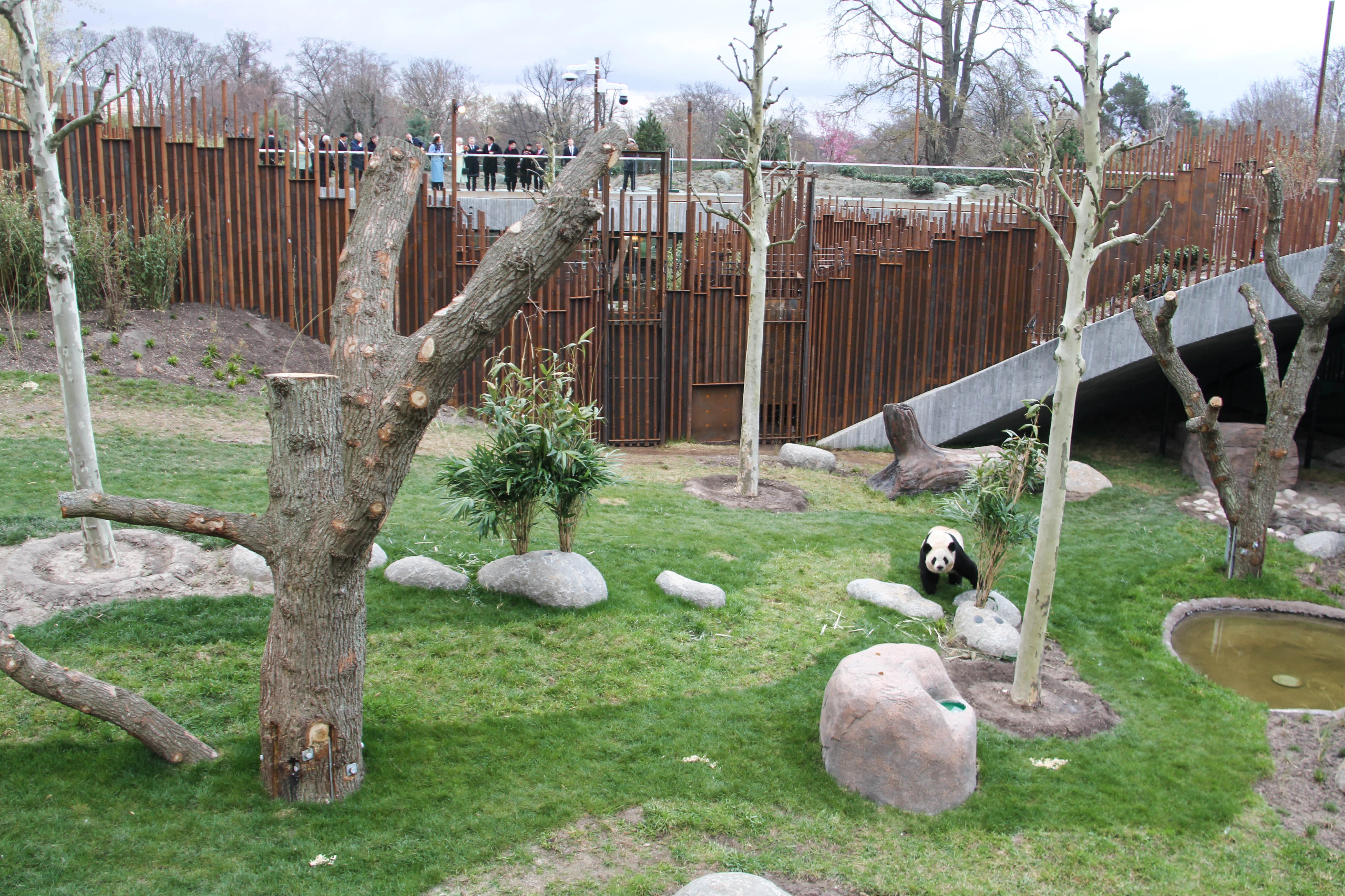 Zoo København - Official Opening