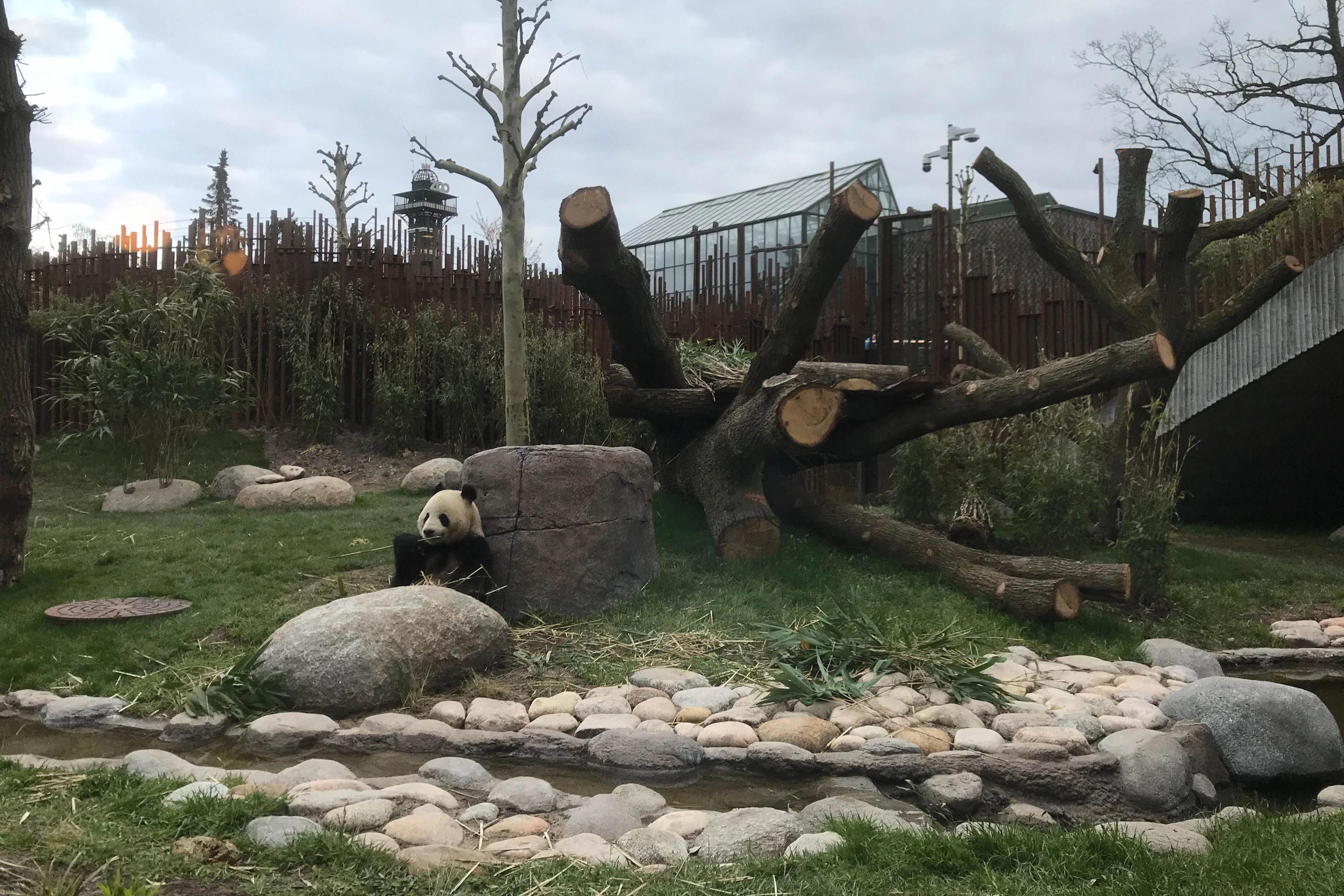 Zoo København - Official Opening