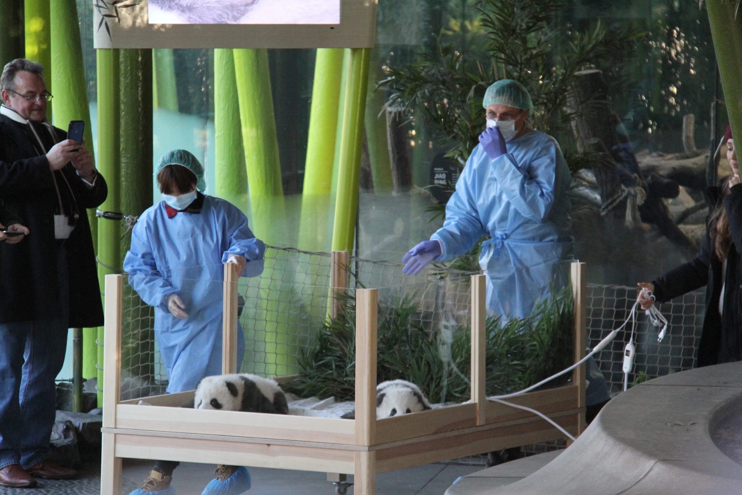 Zoo Berlin - Naming Ceremony Meng Xiang &amp; Meng Yuan
