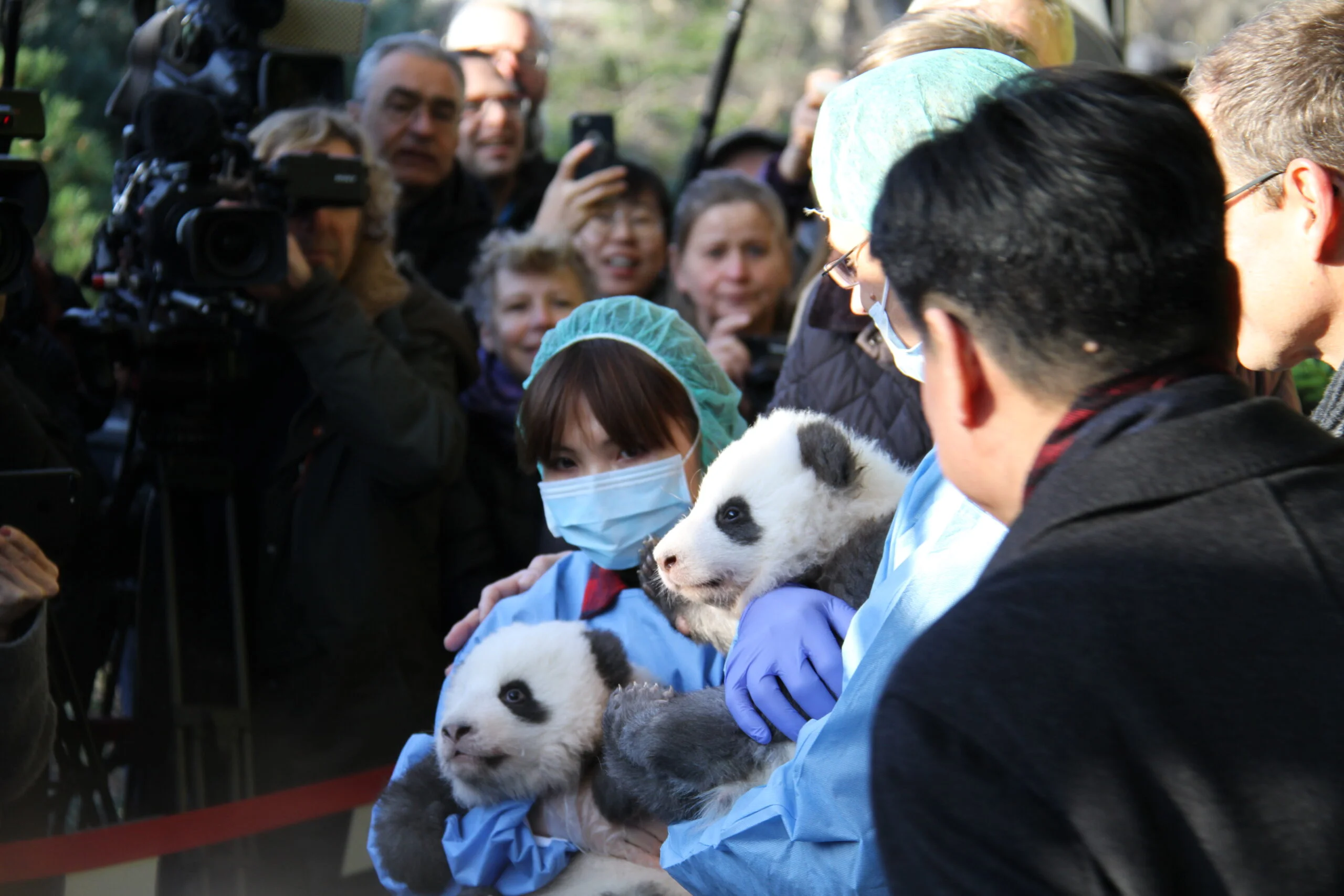 Zoo Berlin - Naming Ceremony Meng Xiang &amp; Meng Yuan