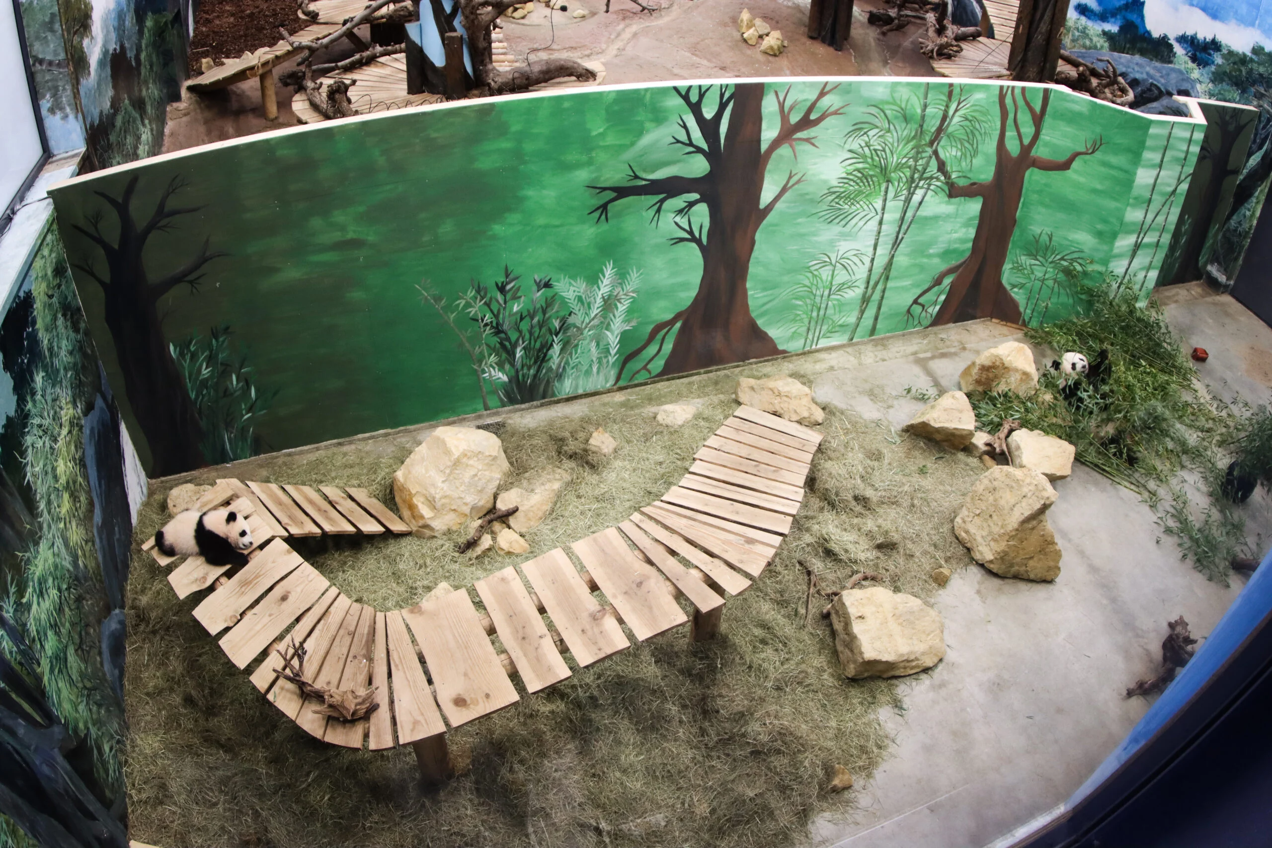 Ouwehands Dierenpark Rhenen