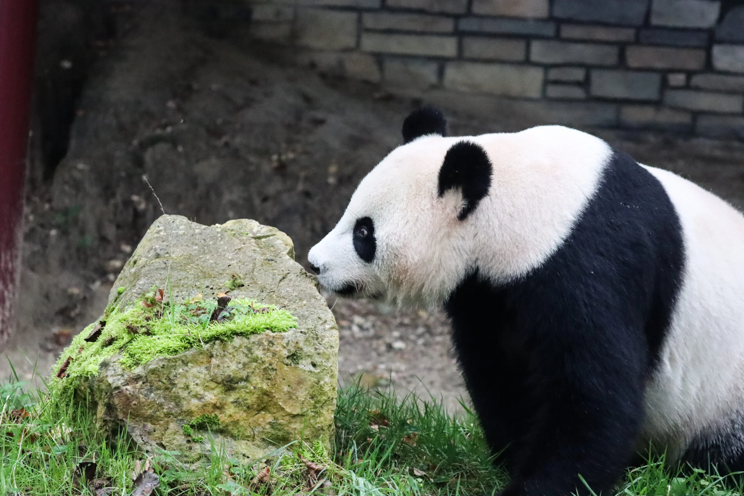 Ouwehands Dierenpark Rhenen