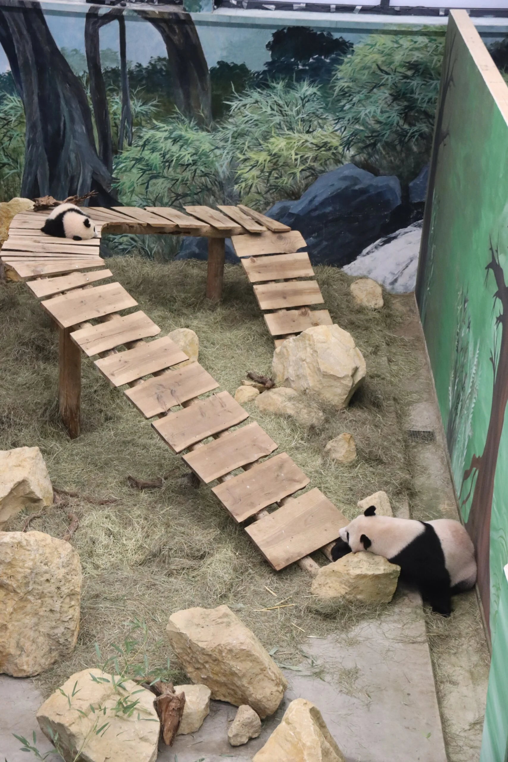 Ouwehands Dierenpark Rhenen