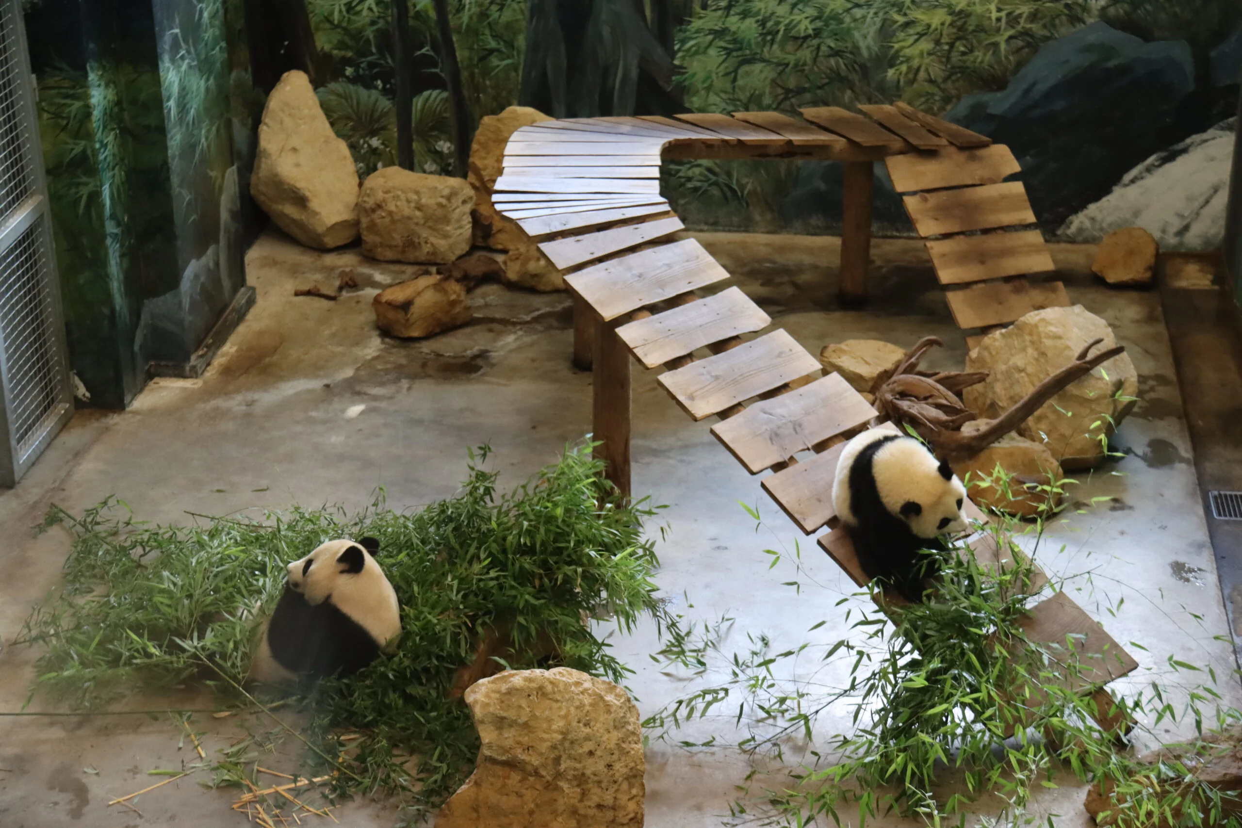 Ouwehands Dierenpark Rhenen