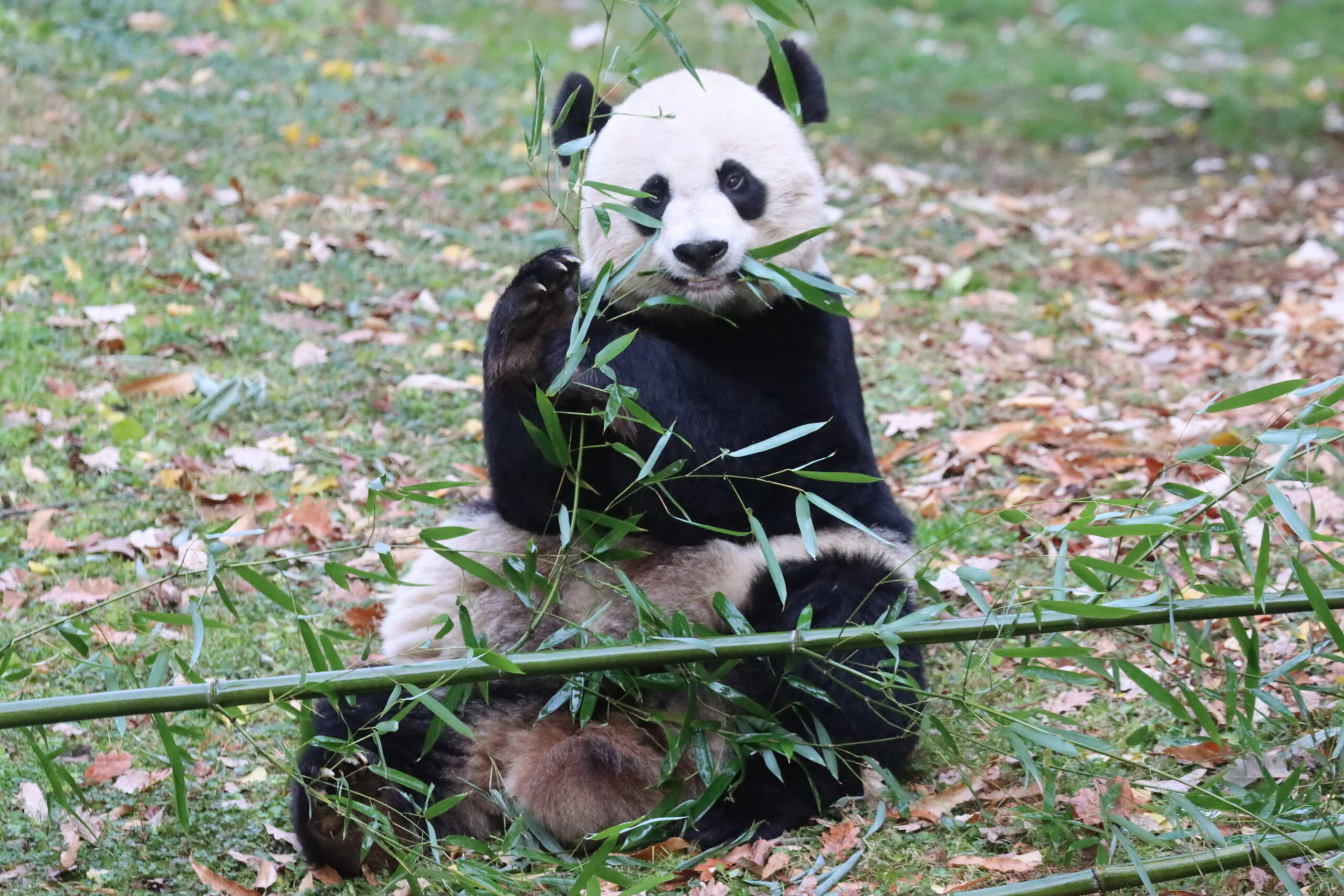 Smithsonian's National Zoo