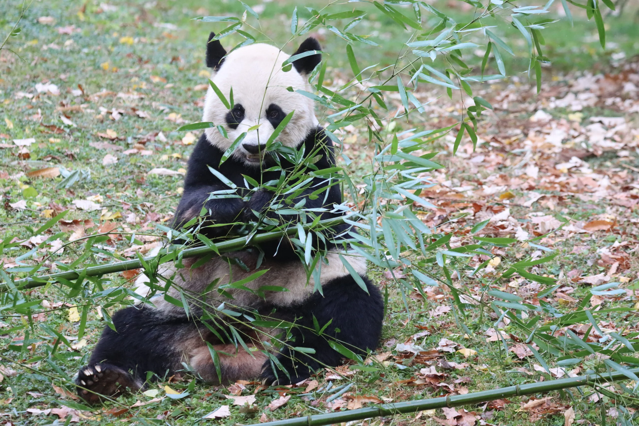 Smithsonian's National Zoo