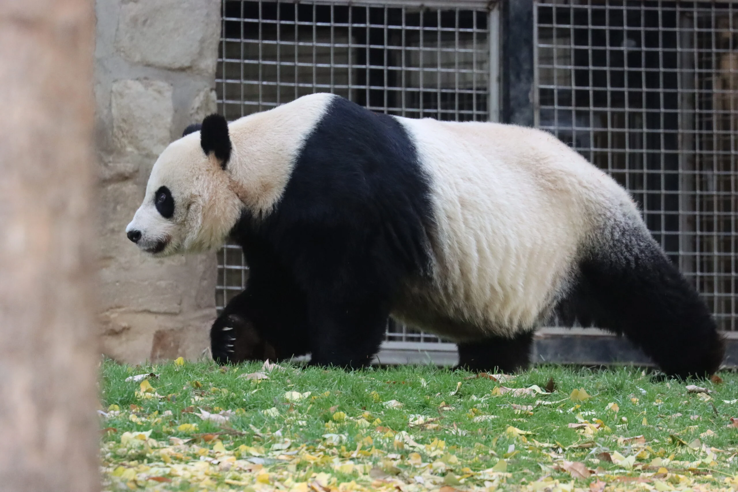 Smithsonian's National Zoo