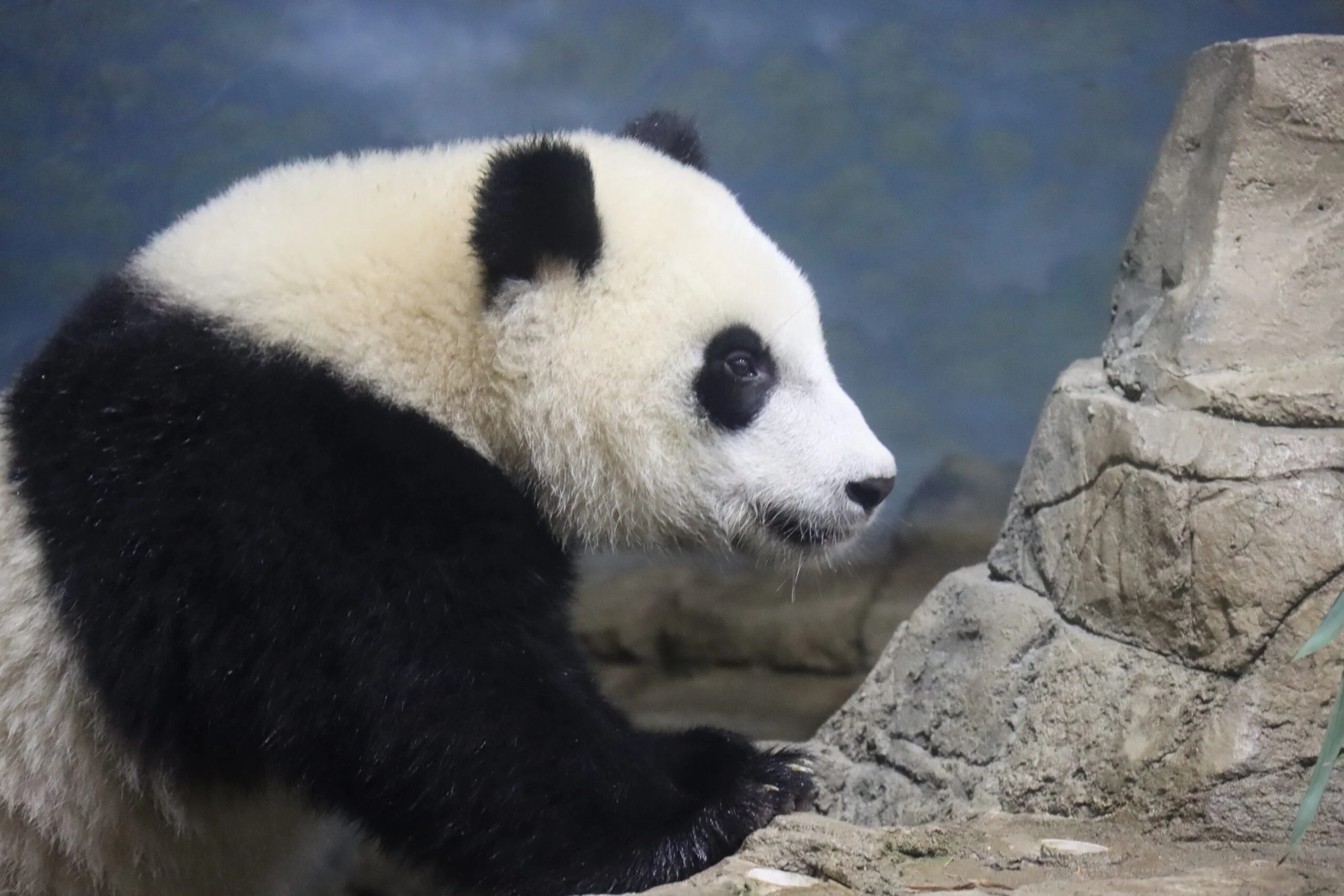 Smithsonian's National Zoo