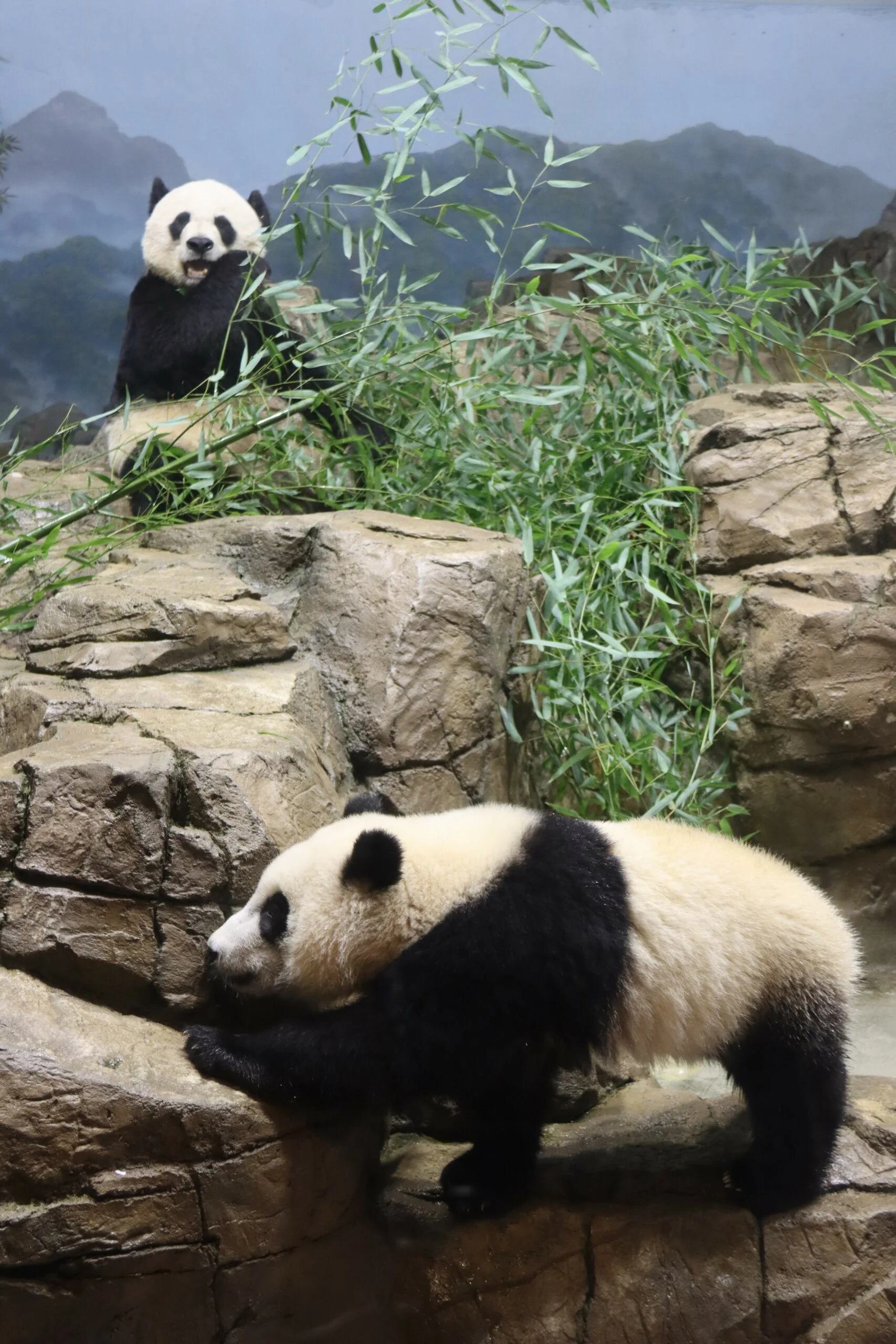 Smithsonian's National Zoo