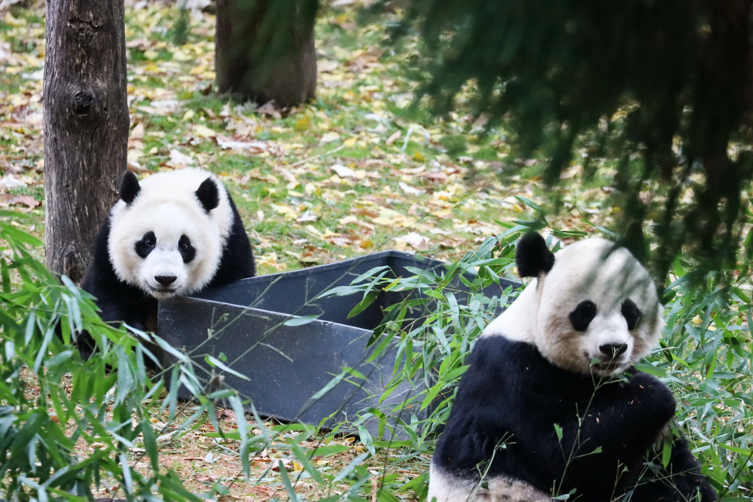 Smithsonian's National Zoo