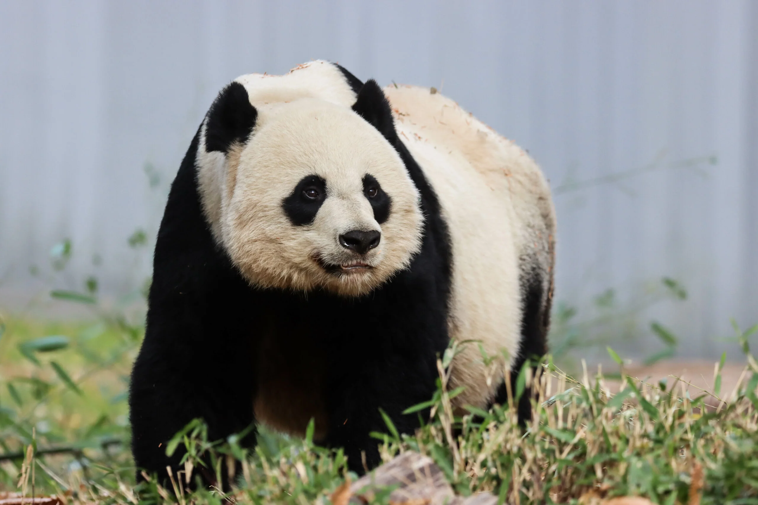 Smithsonian's National Zoo
