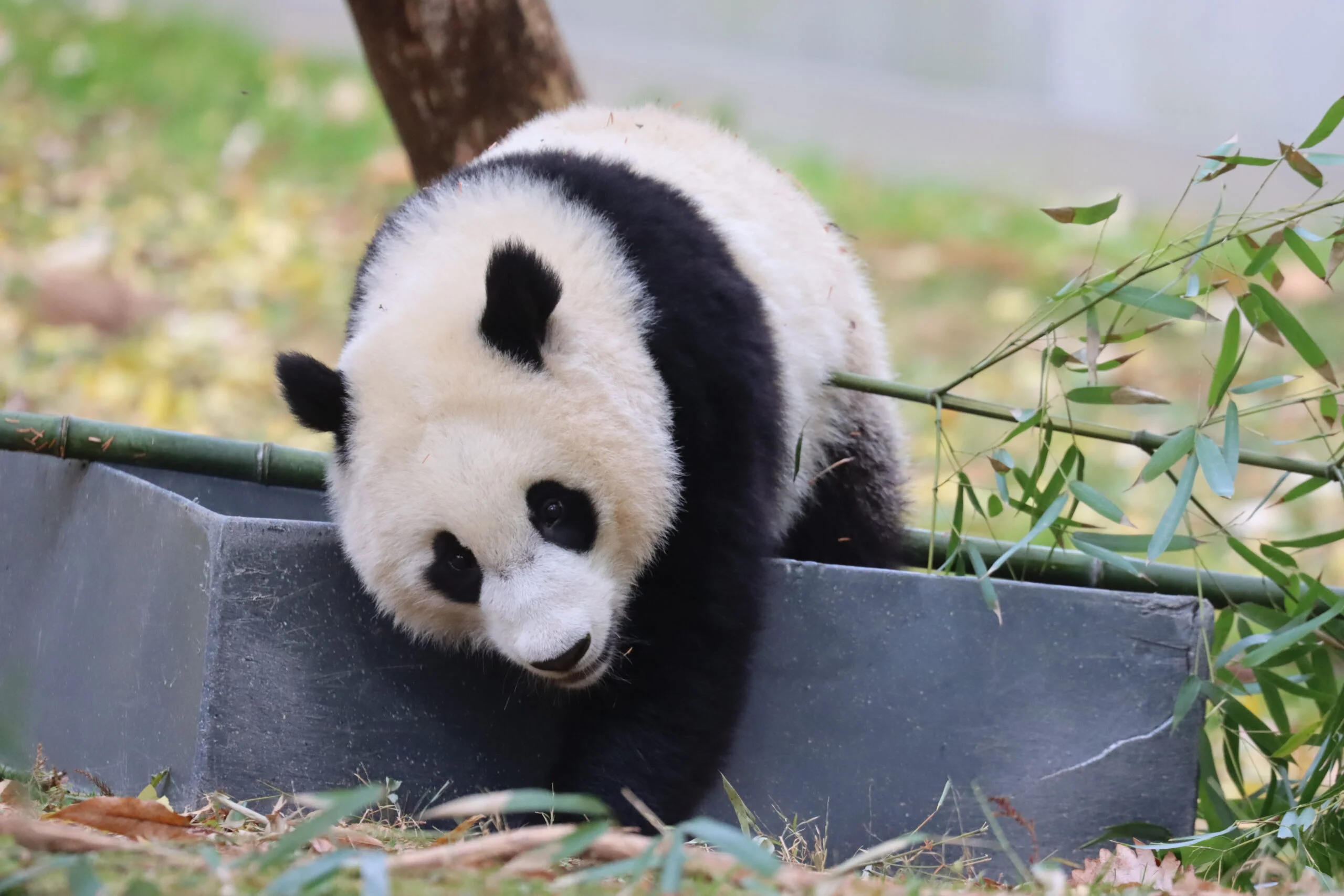 Smithsonian's National Zoo