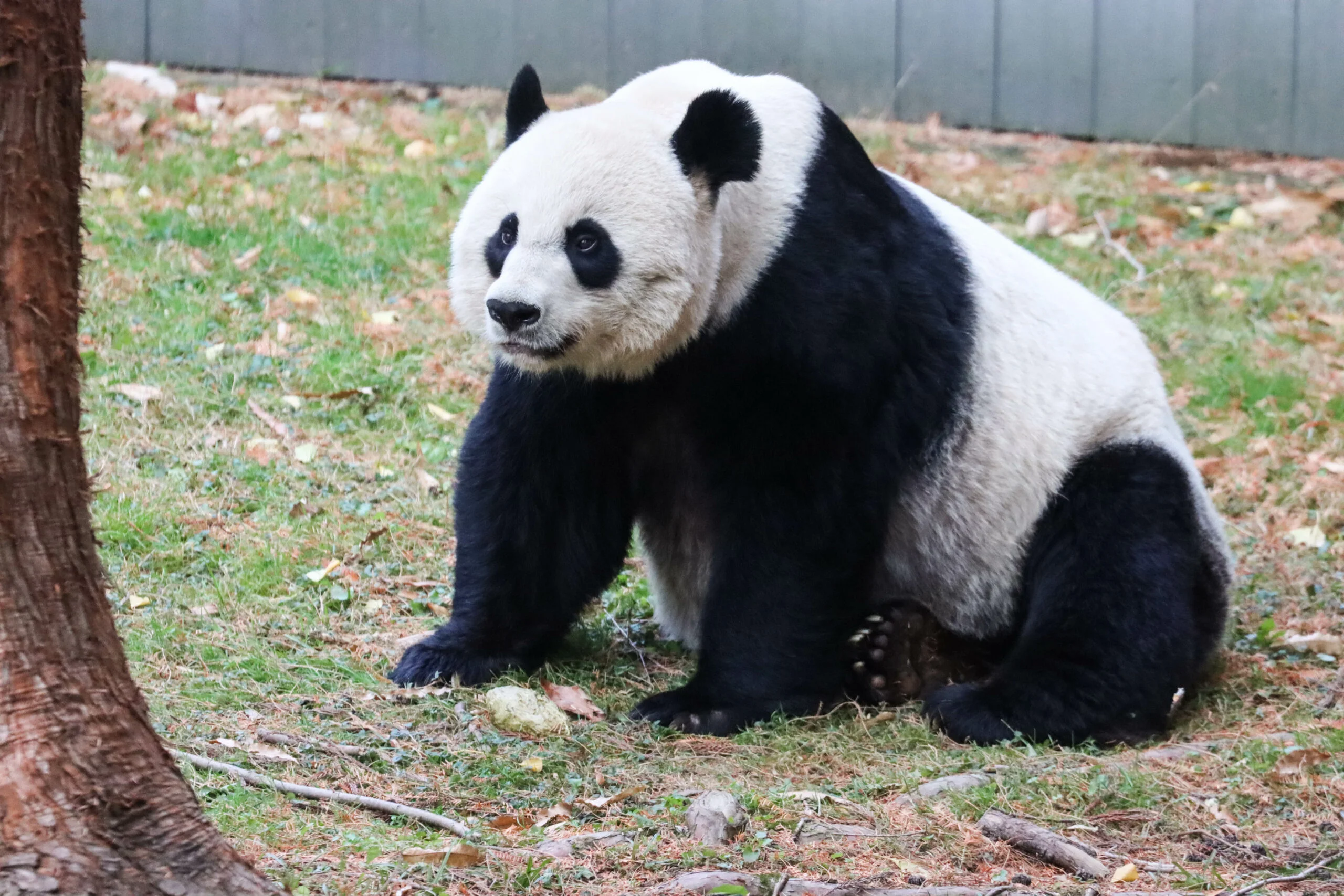 Smithsonian's National Zoo