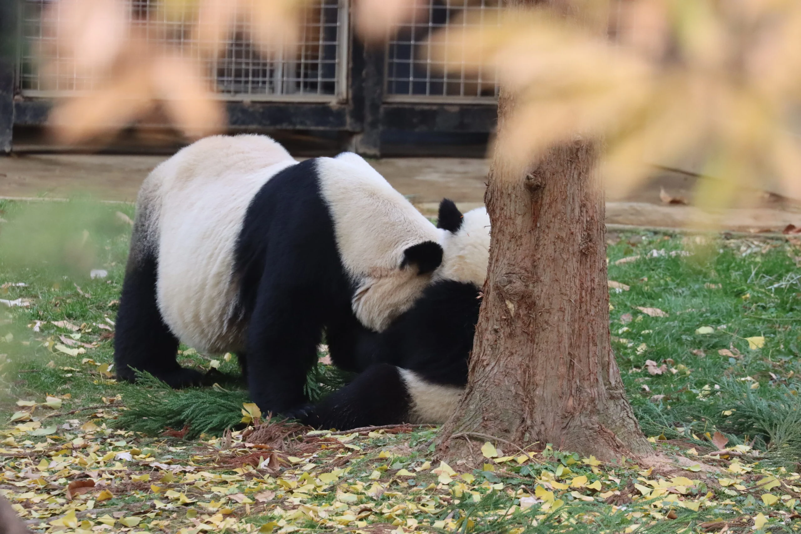 Smithsonian's National Zoo