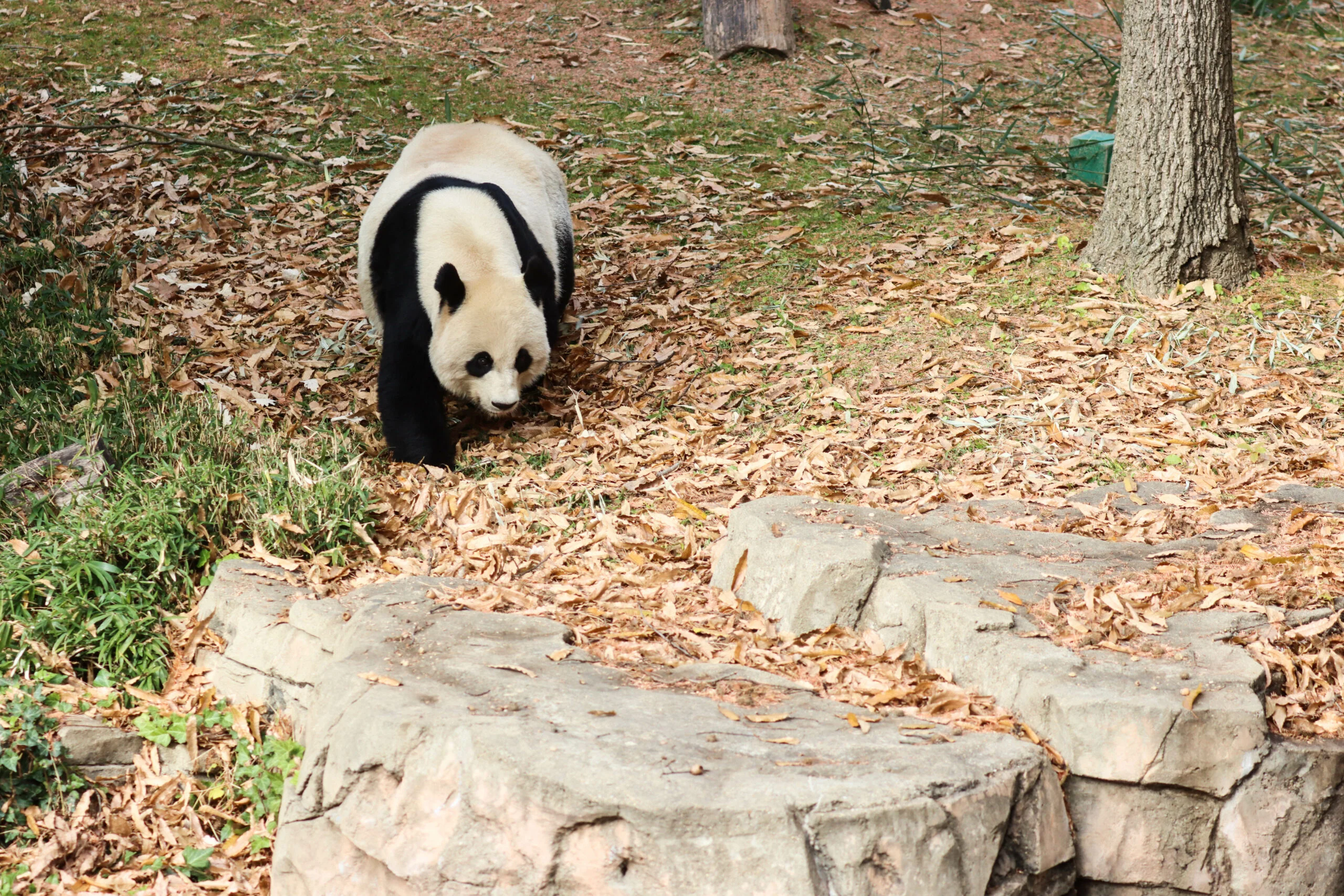 Smithsonian's National Zoo