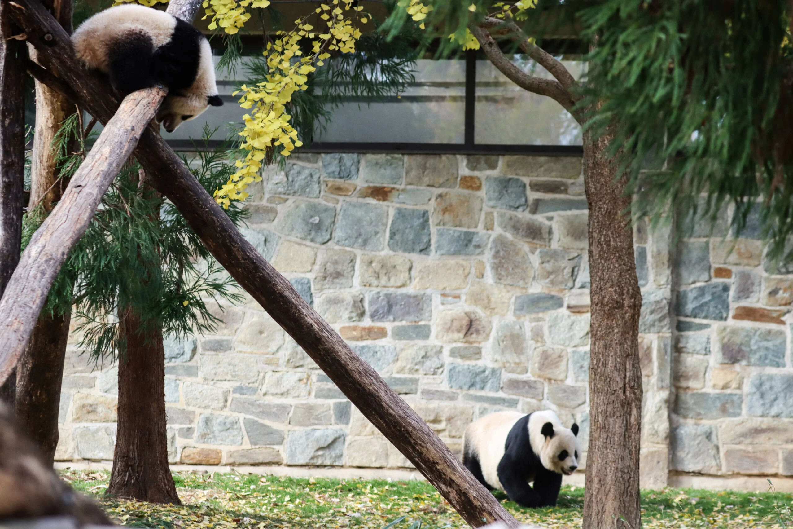 Smithsonian's National Zoo