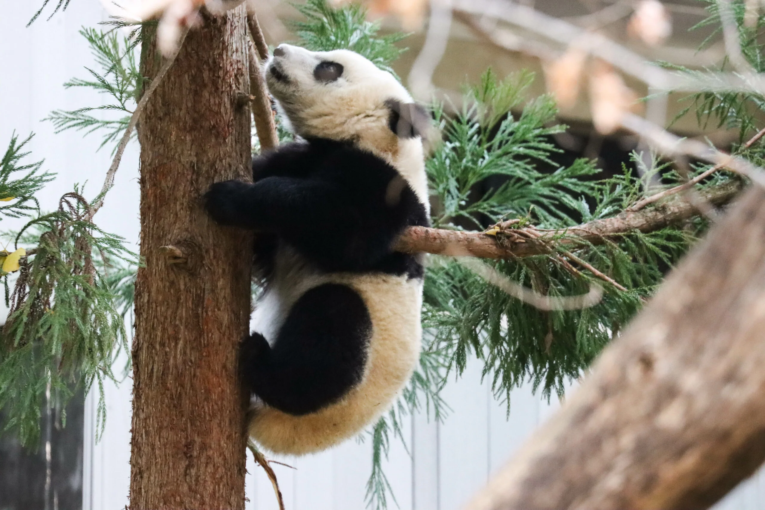 Smithsonian's National Zoo